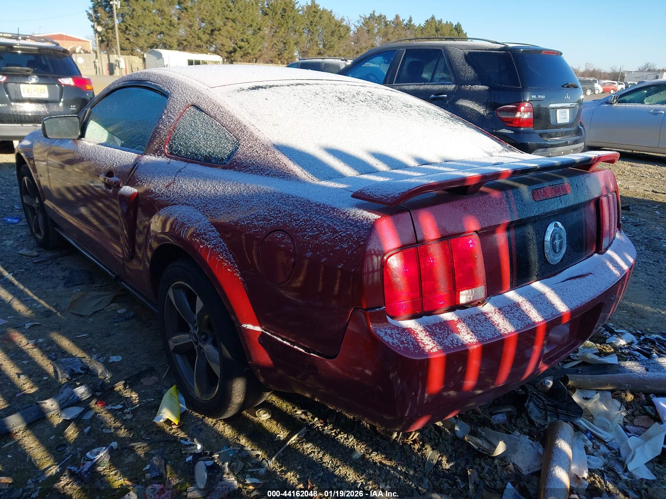 FORD MUSTANG image 3