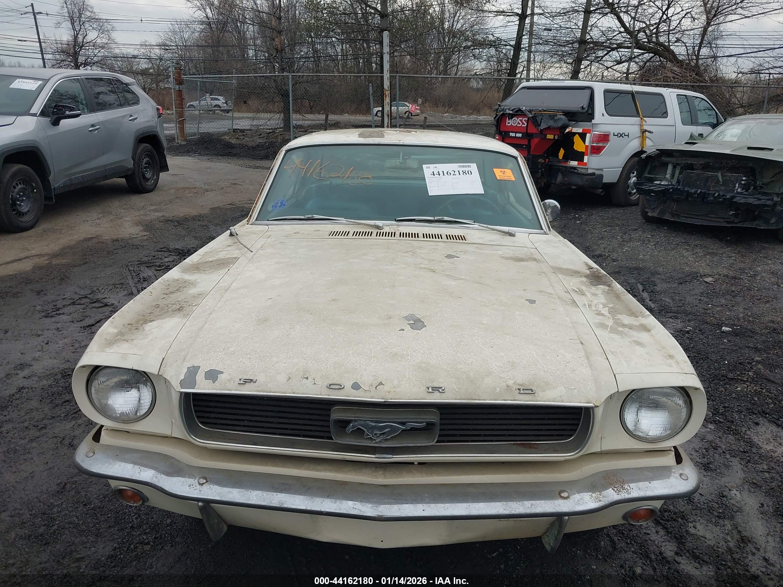 FORD MUSTANG image 10