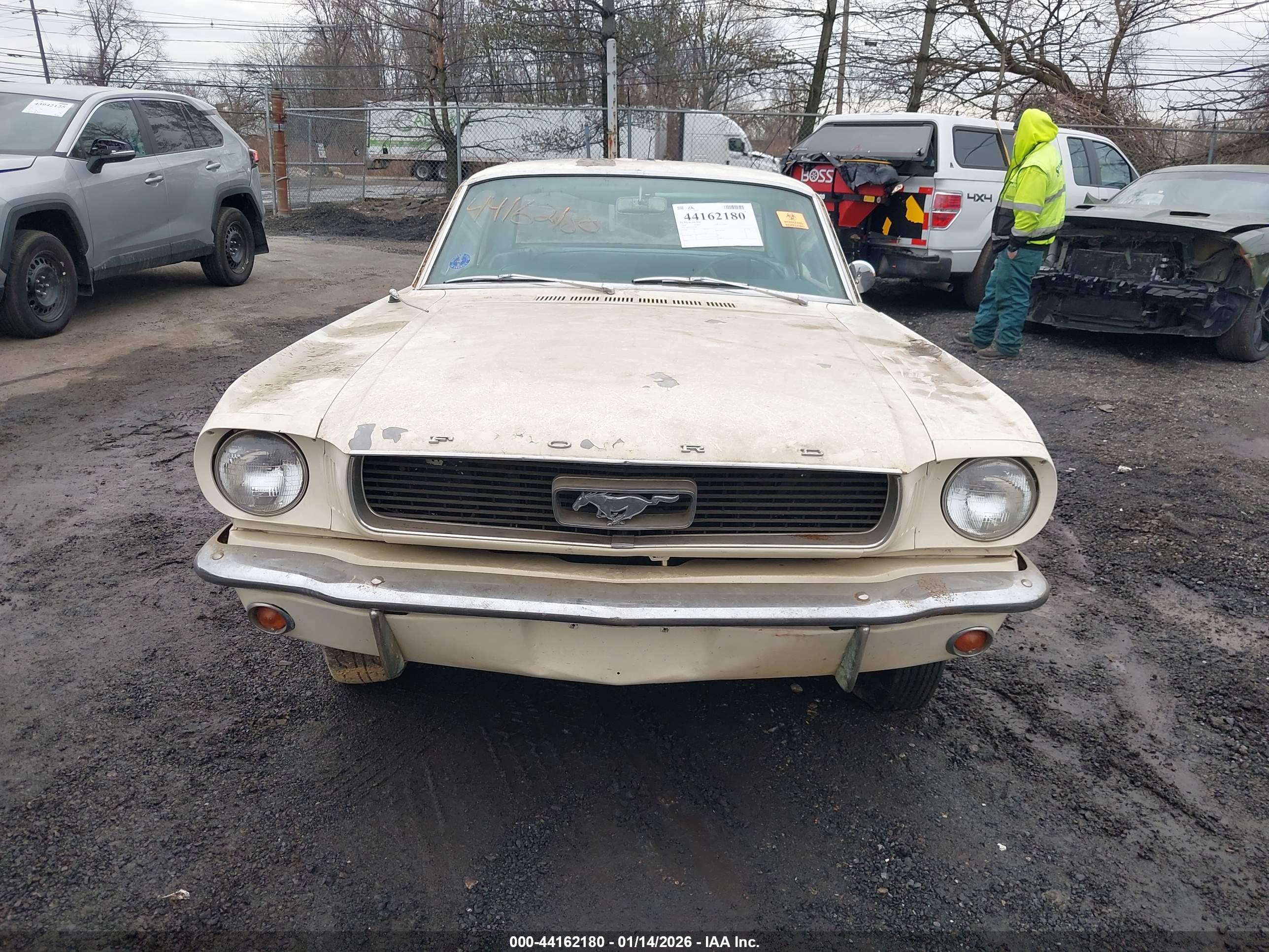FORD MUSTANG image 6