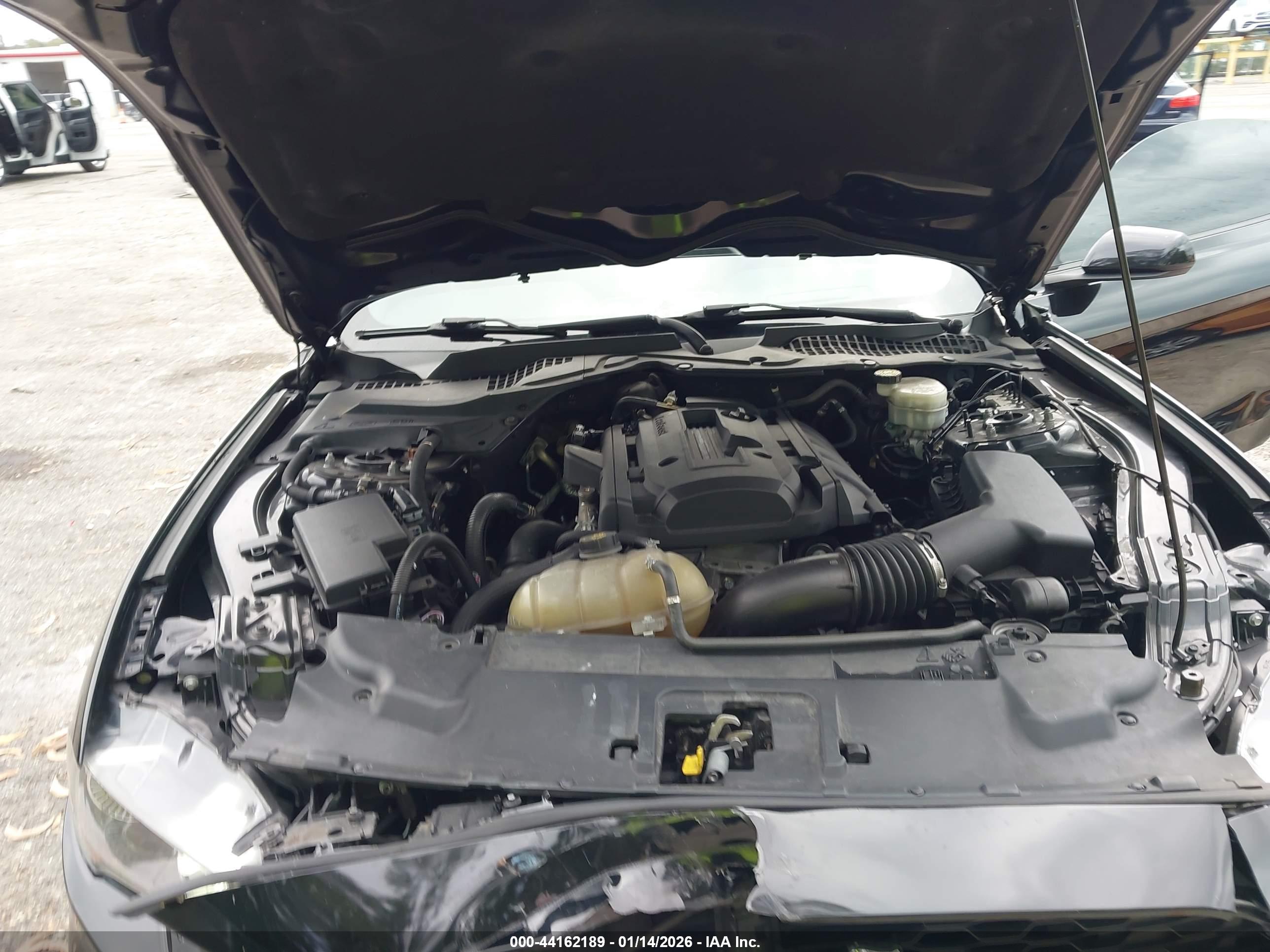 FORD MUSTANG image 10
