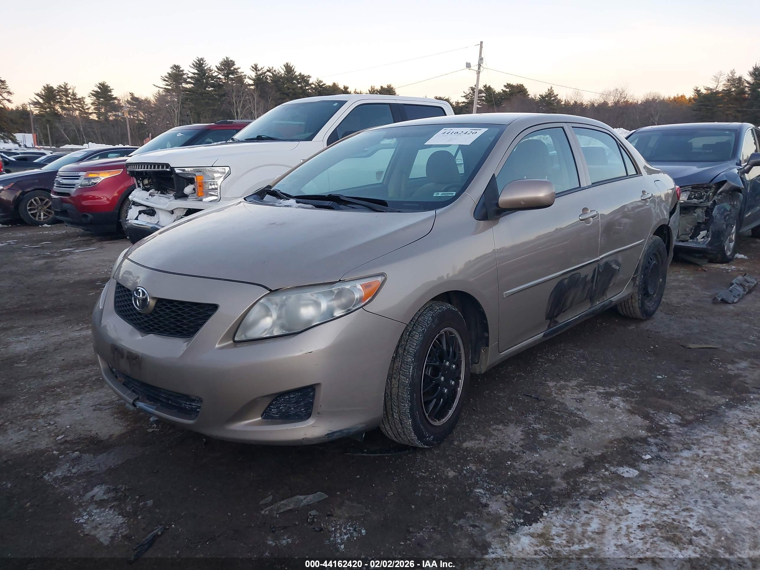 TOYOTA COROLLA image 2