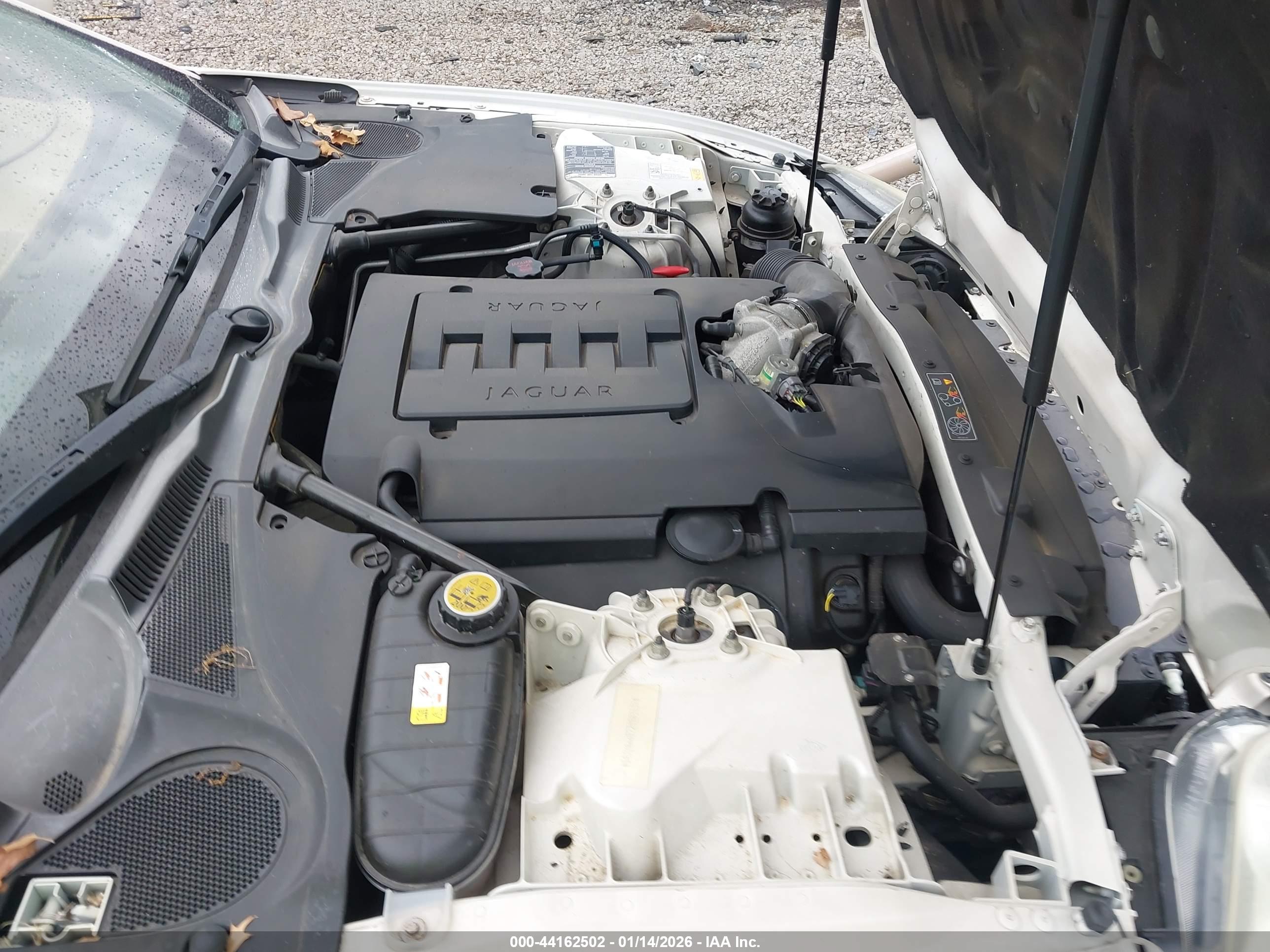 JAGUAR XK image 10