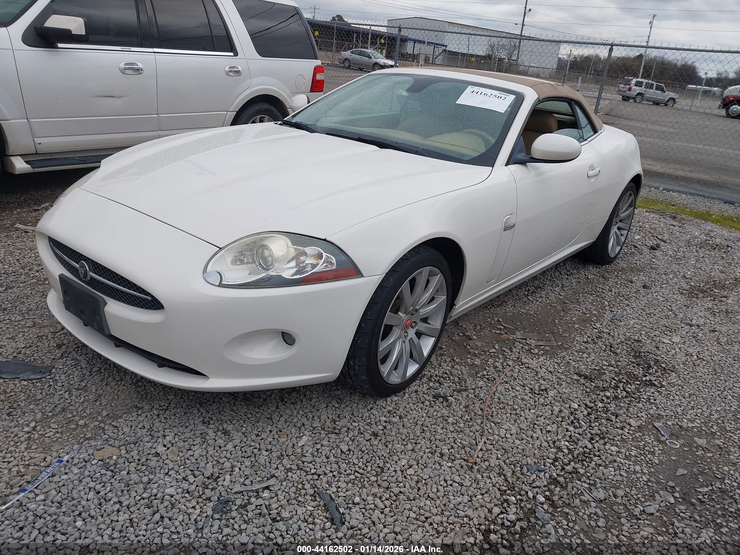 JAGUAR XK image 2