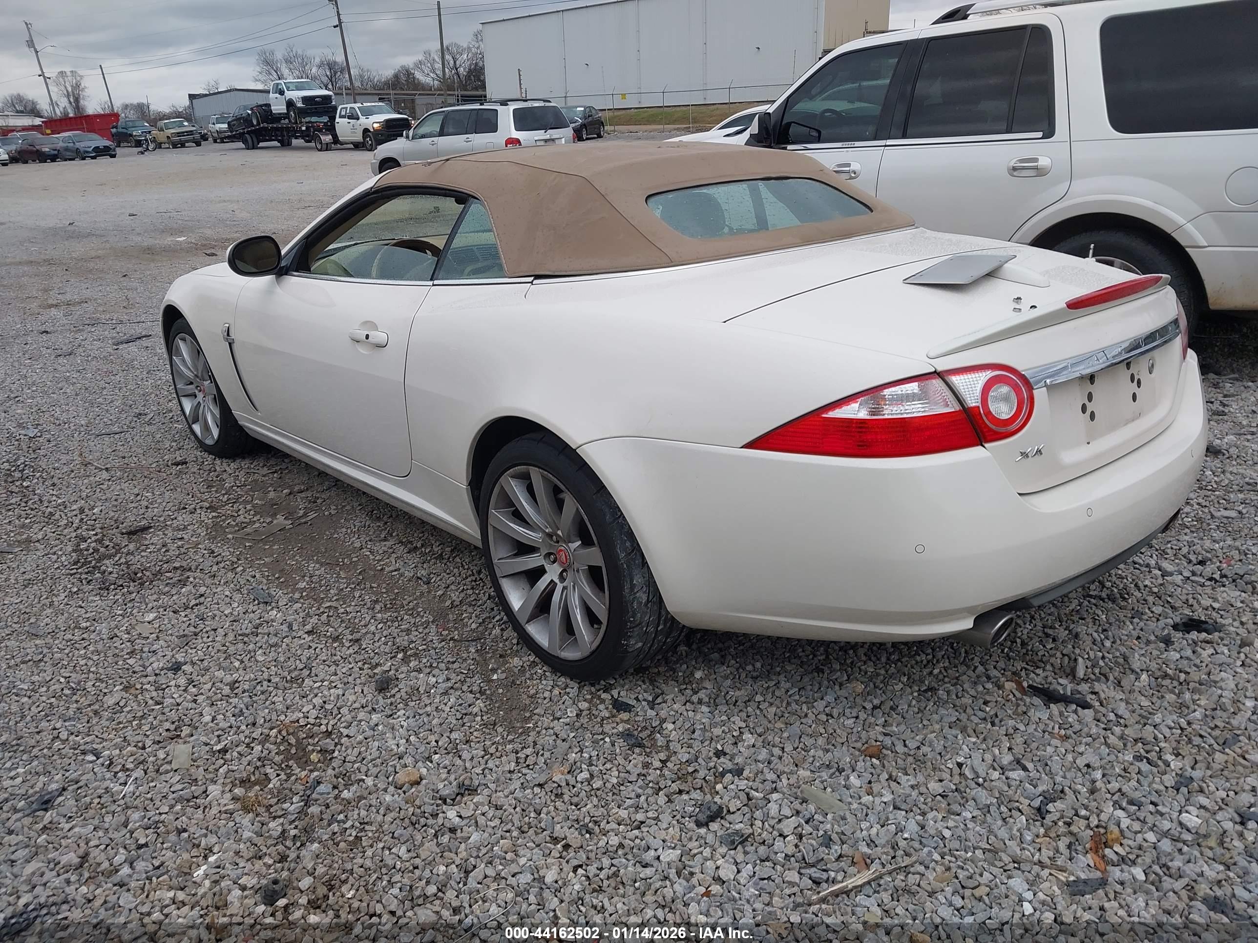 JAGUAR XK image 3