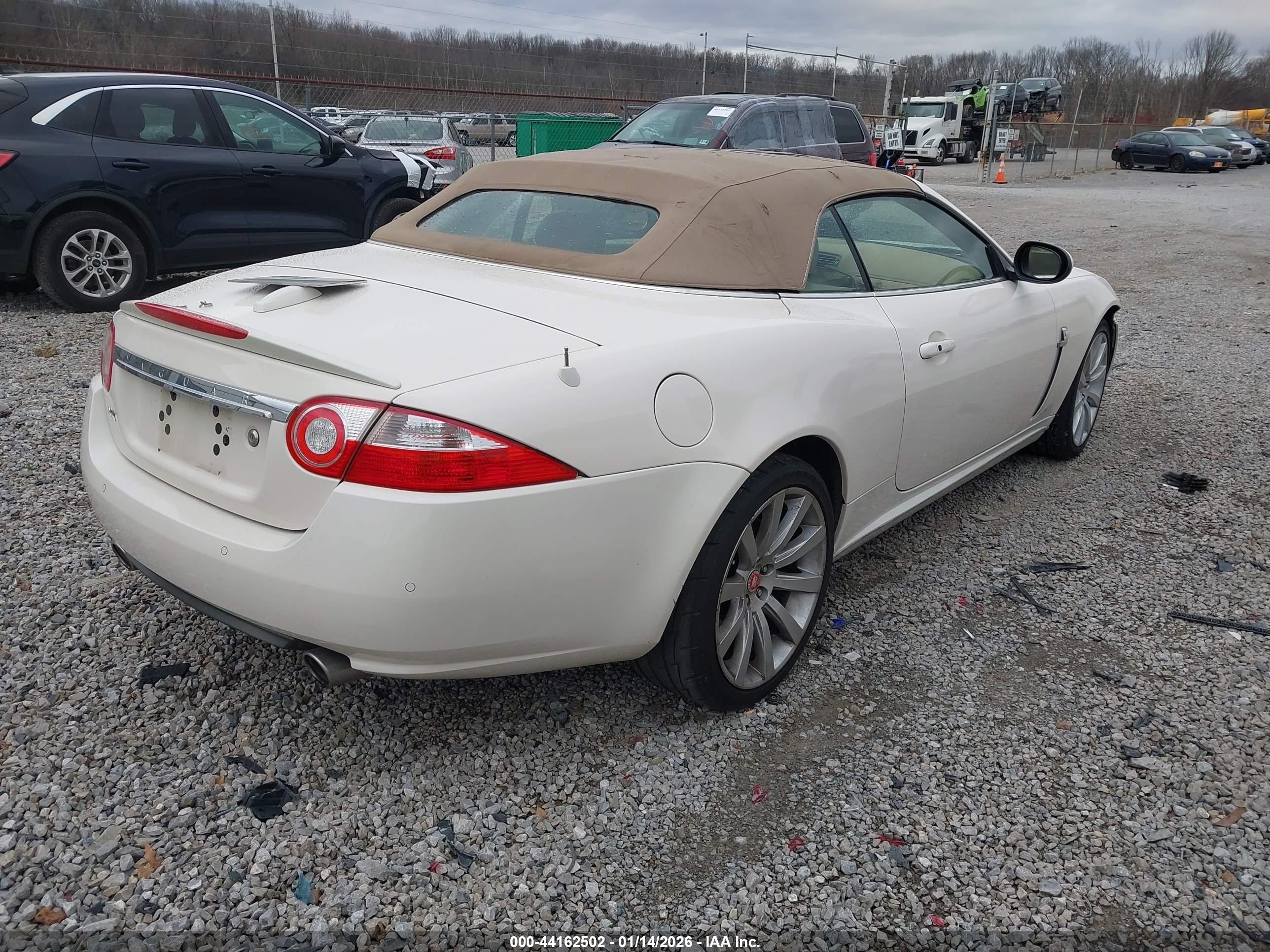 JAGUAR XK image 4