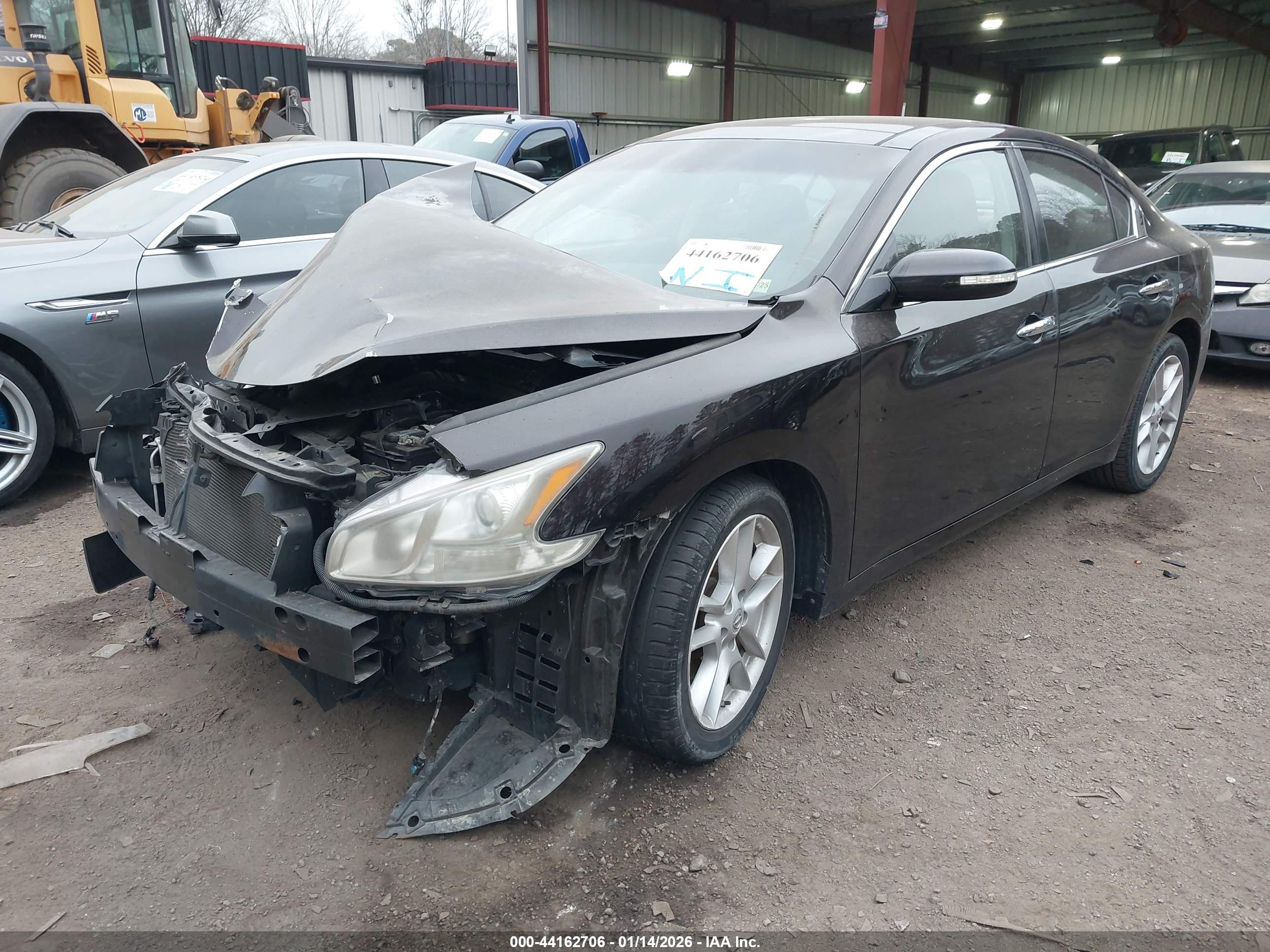 NISSAN MAXIMA image 2