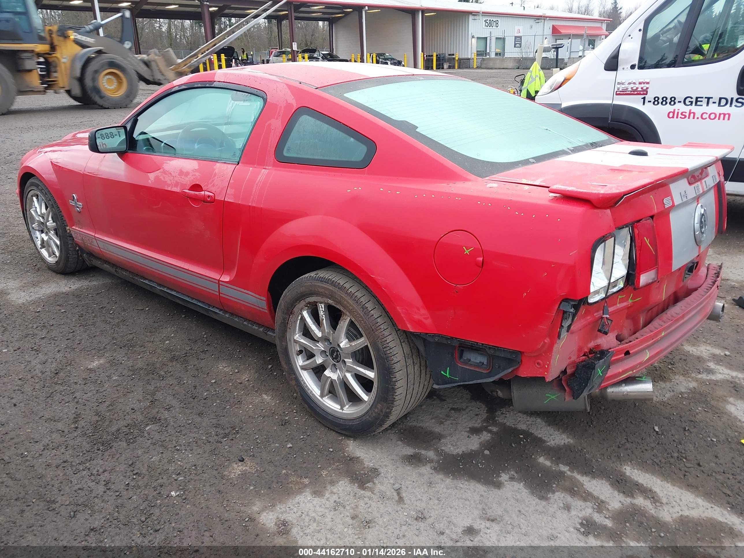 FORD SHELBY image 3
