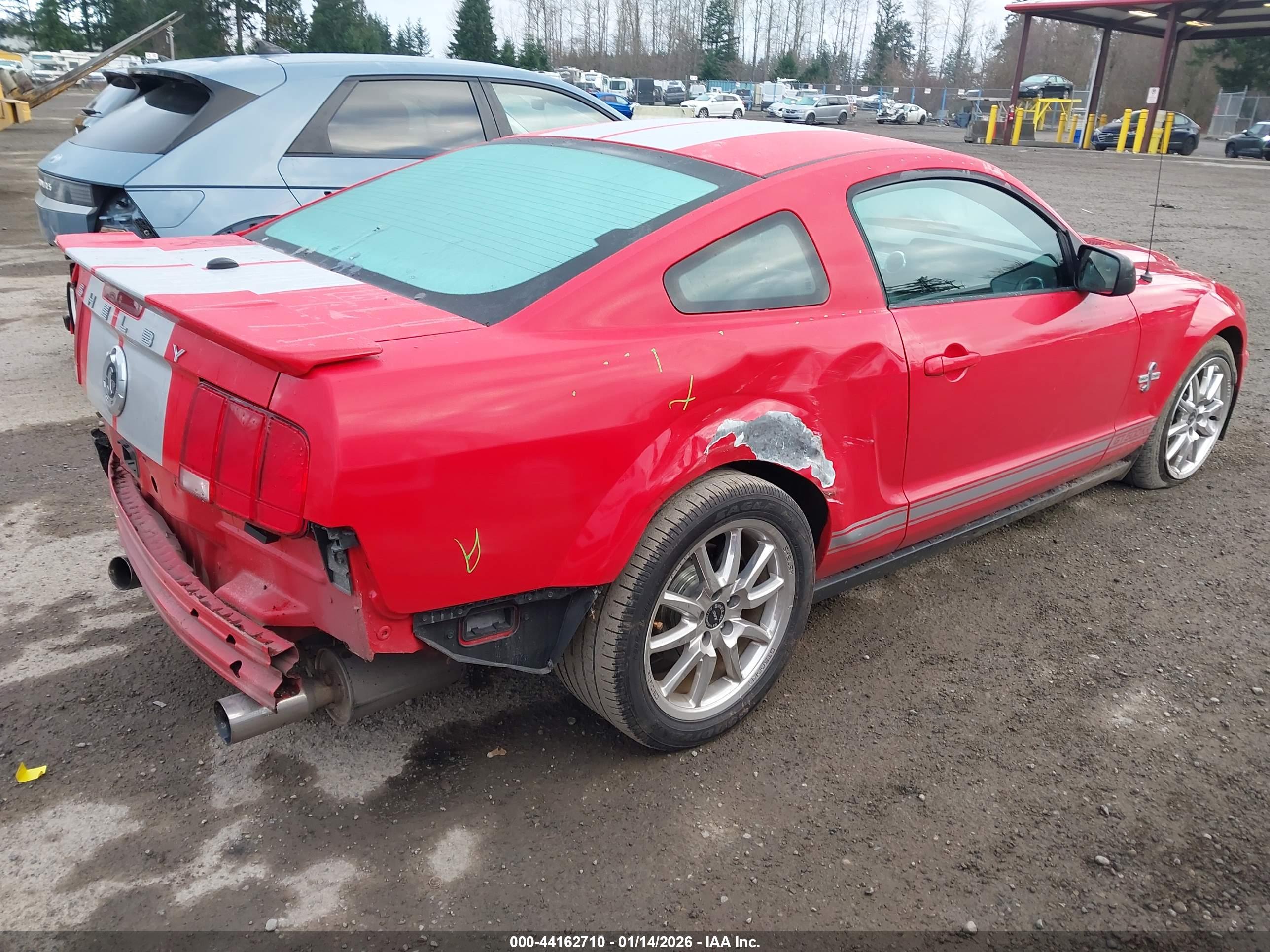 FORD SHELBY image 4