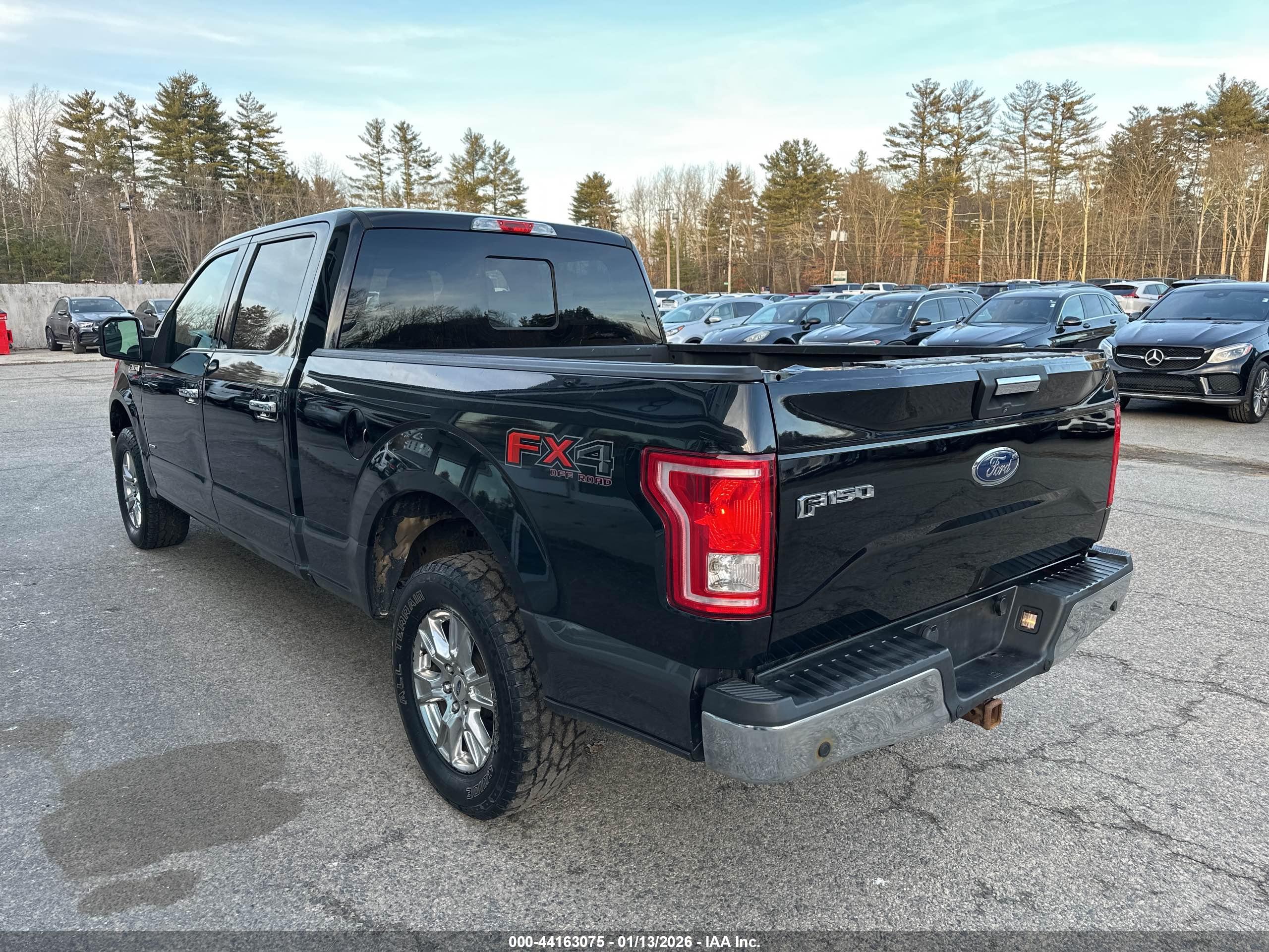 FORD F-150 image 3