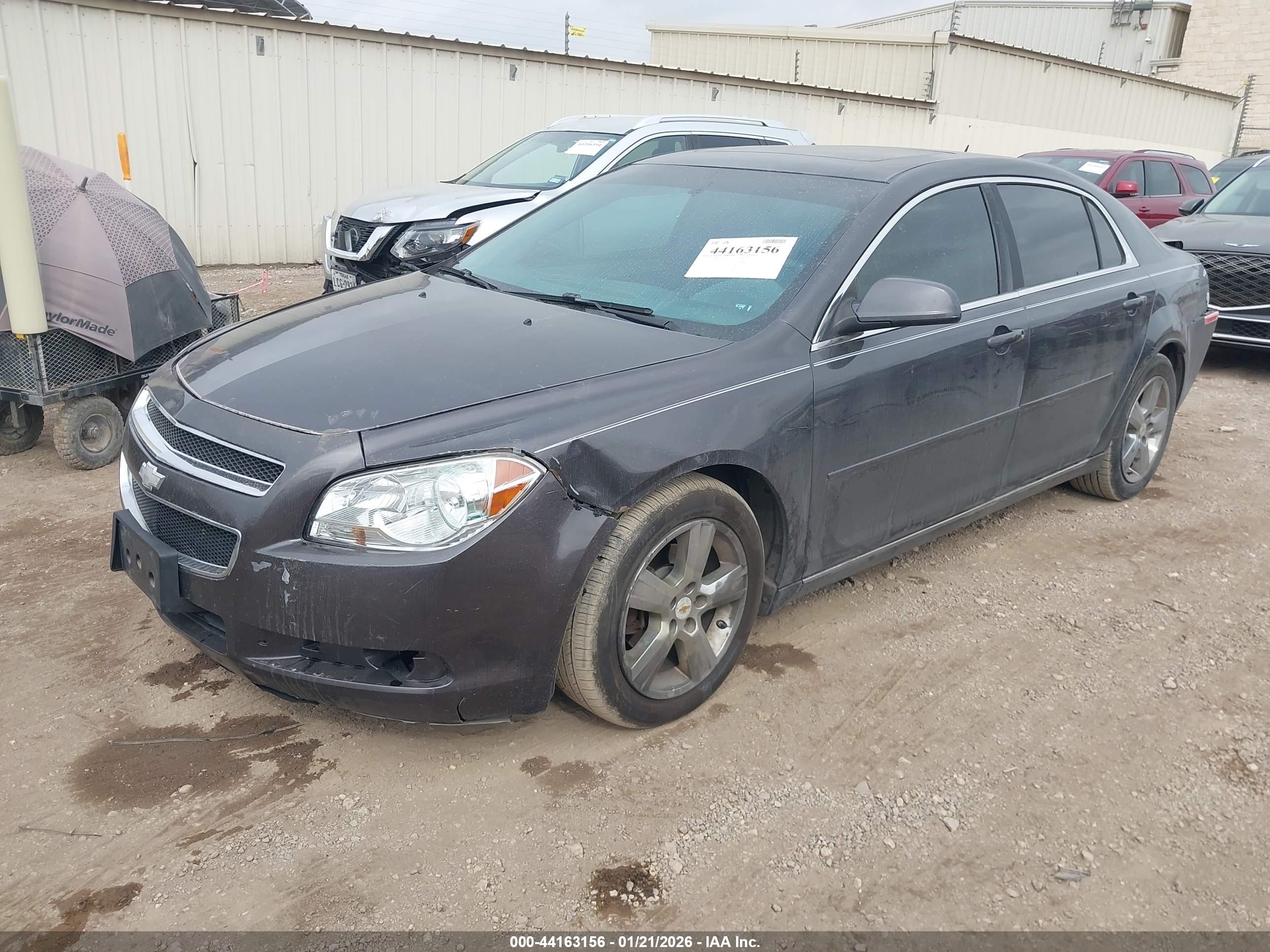 CHEVROLET MALIBU image 2