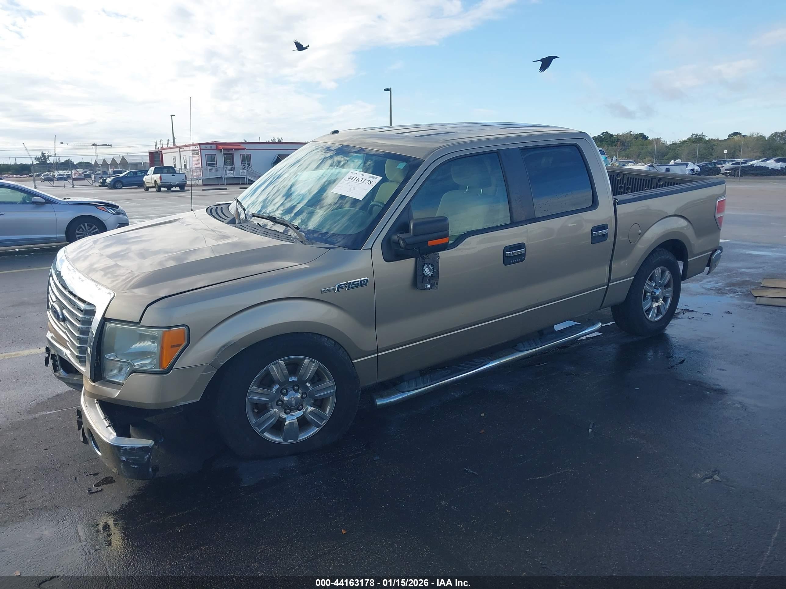 FORD F-150 image 2