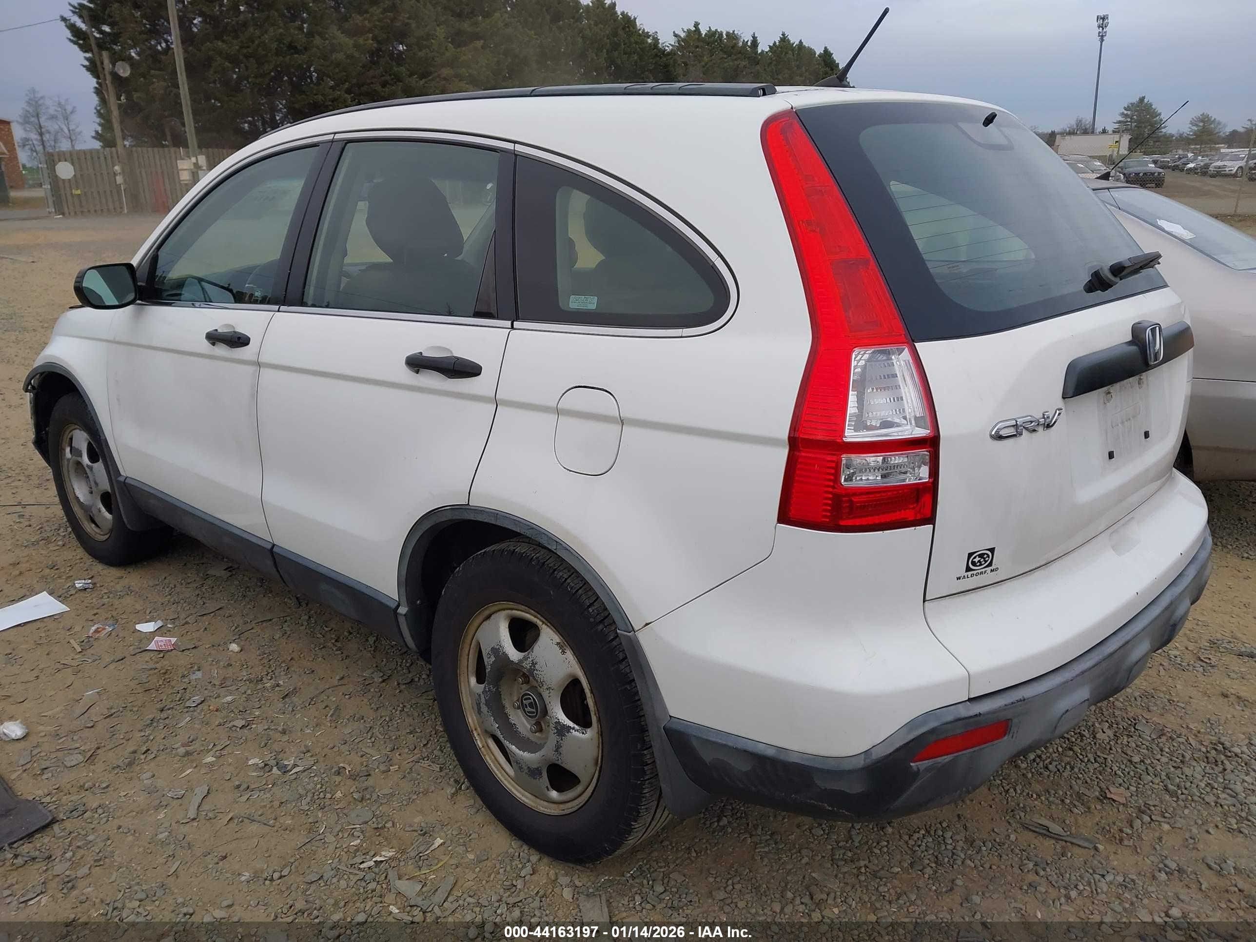 HONDA CR-V image 3