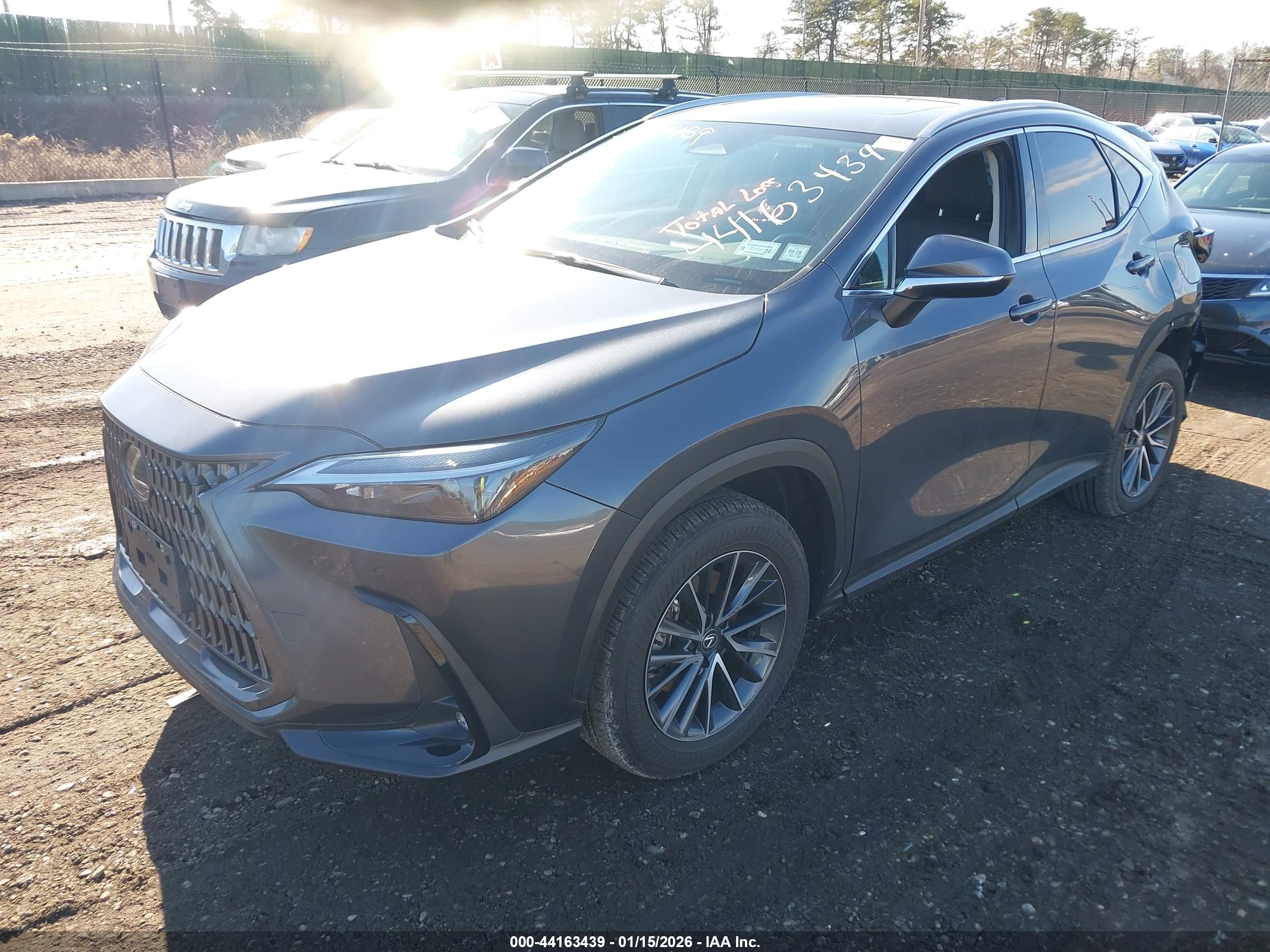 LEXUS NX image 2
