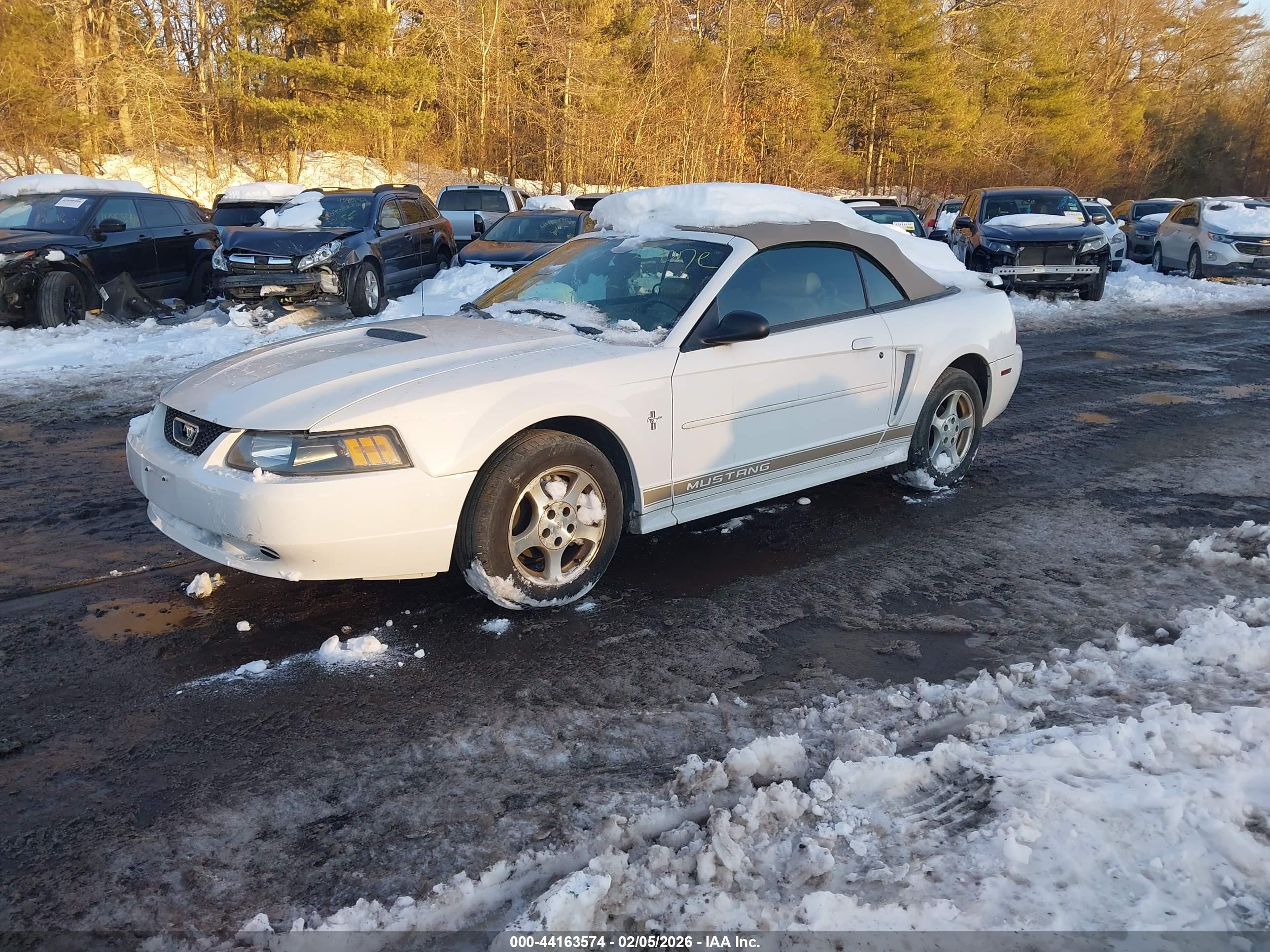 FORD MUSTANG image 2