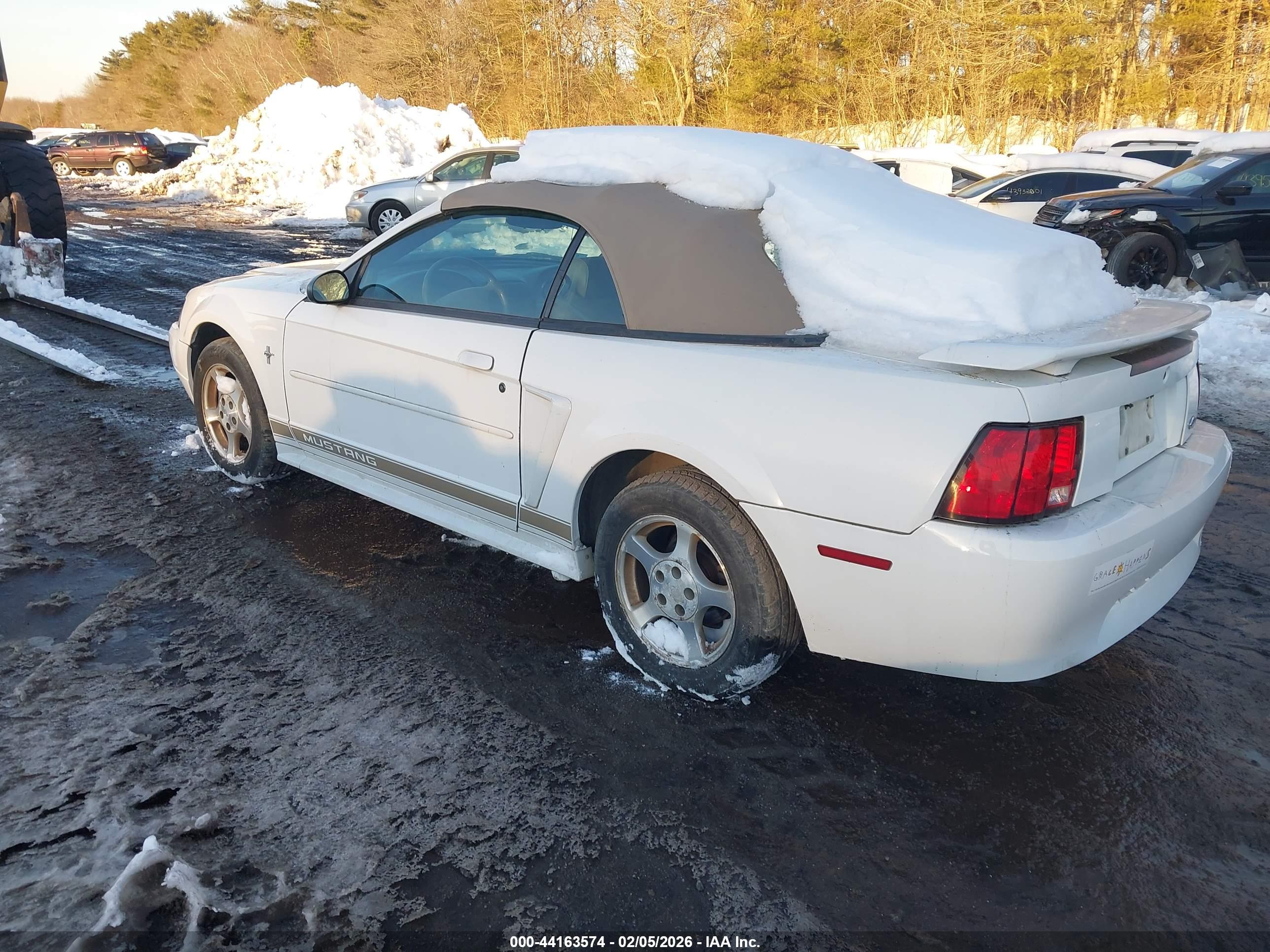 FORD MUSTANG image 3