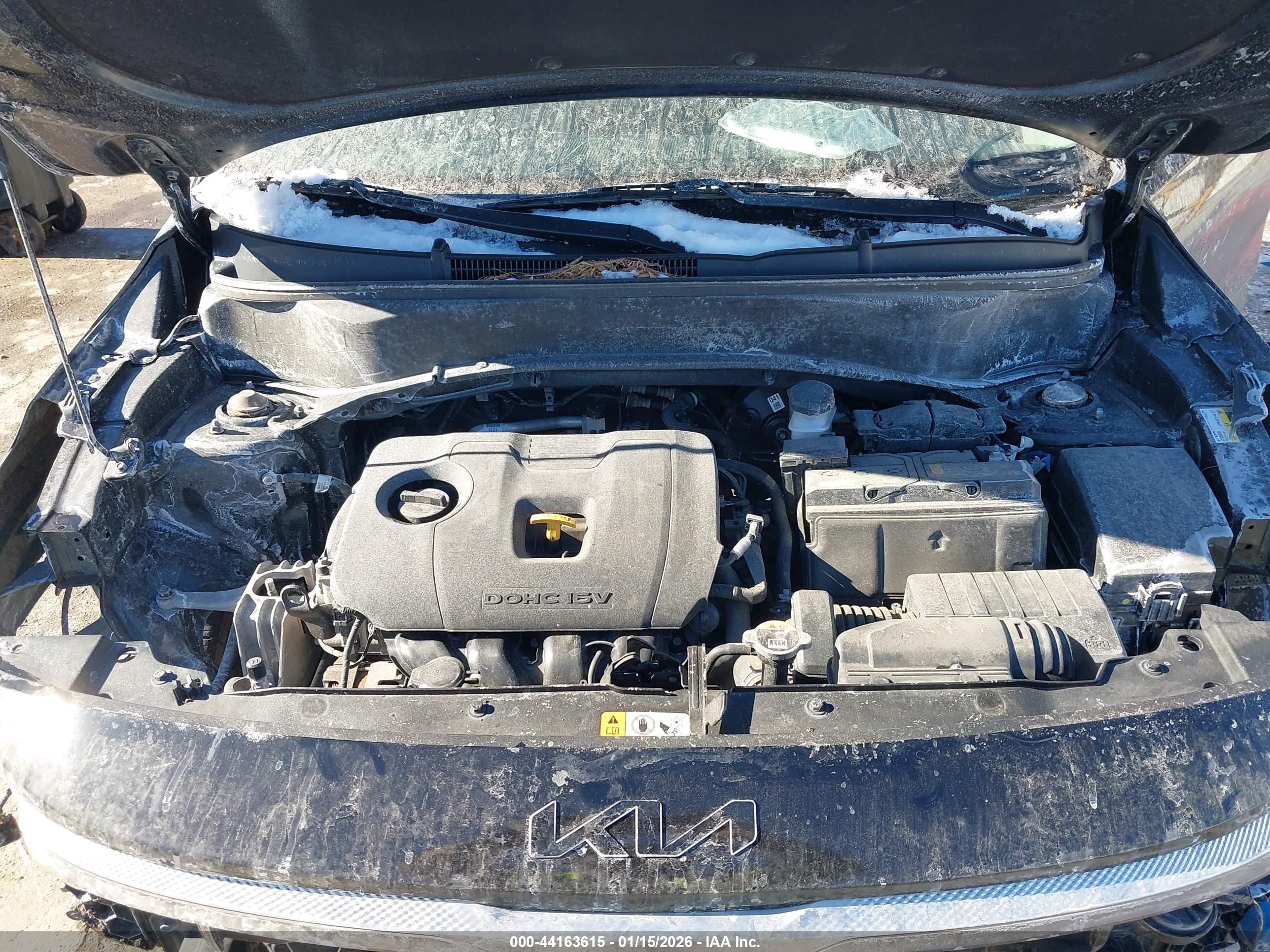 KIA SELTOS image 10