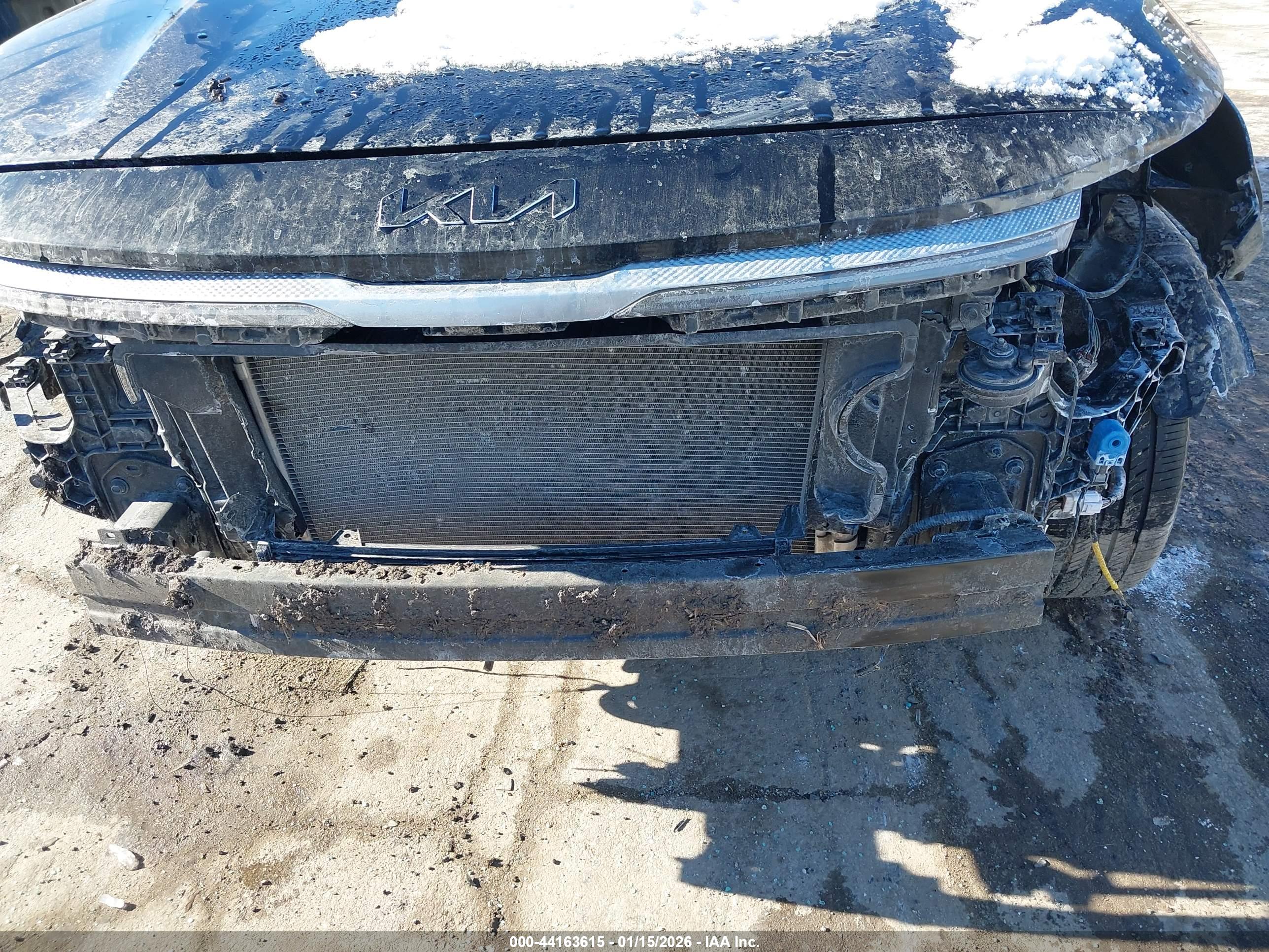 KIA SELTOS image 6