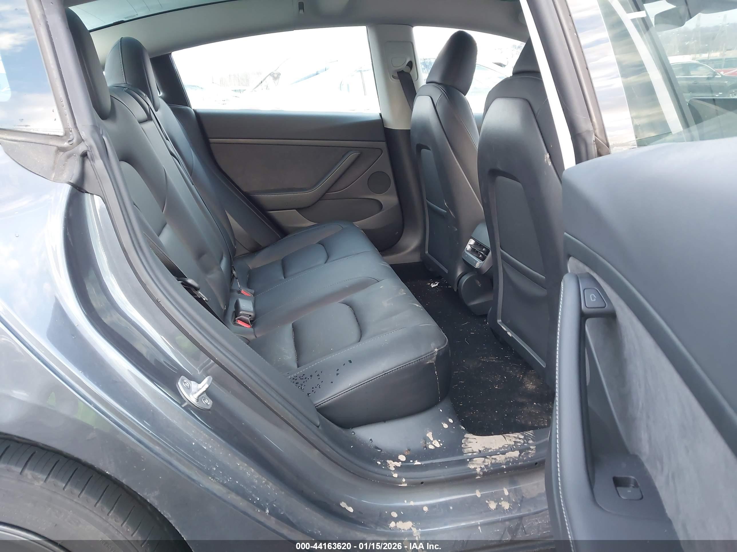 TESLA MODEL image 8