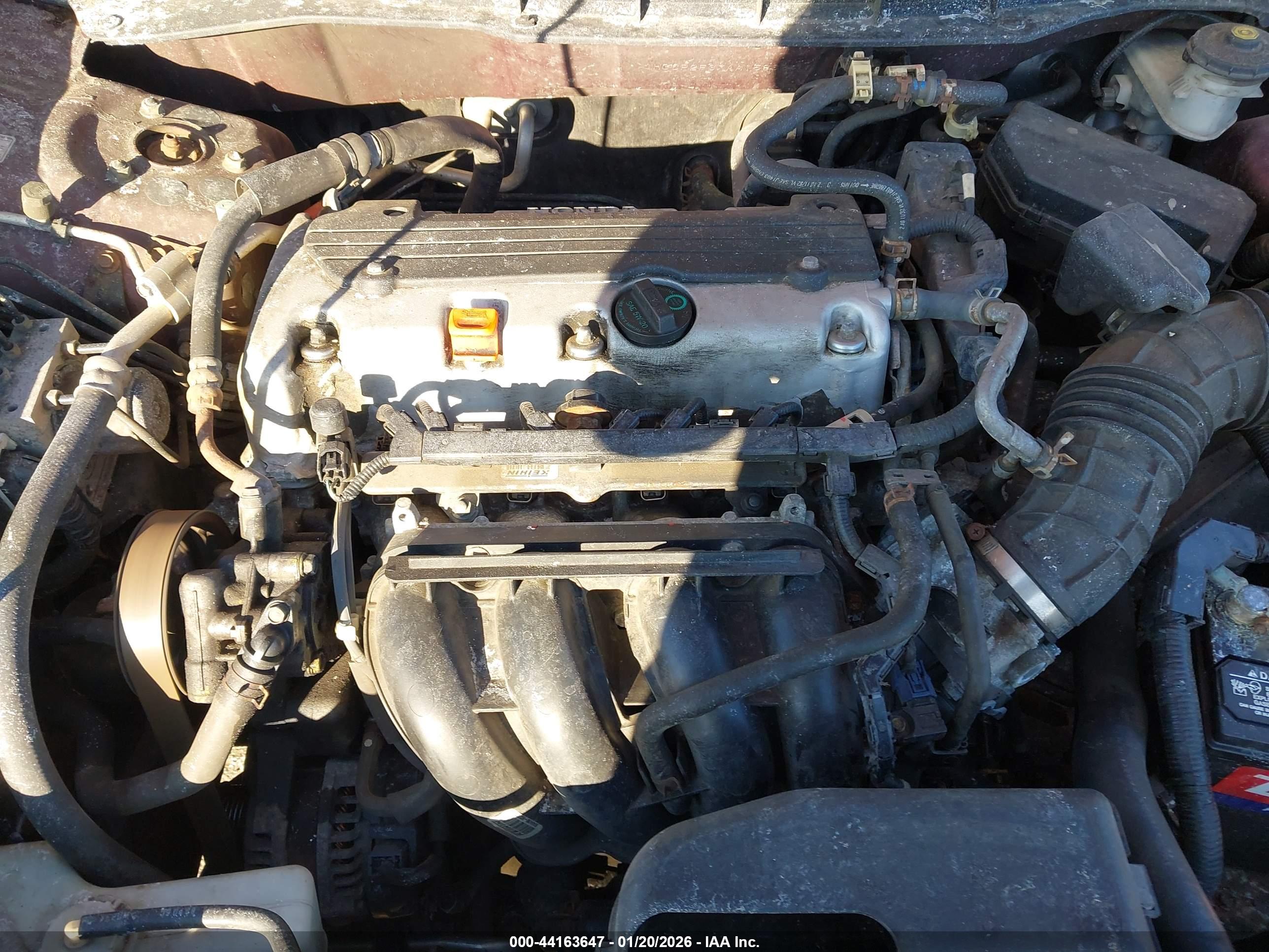 HONDA ACCORD image 10