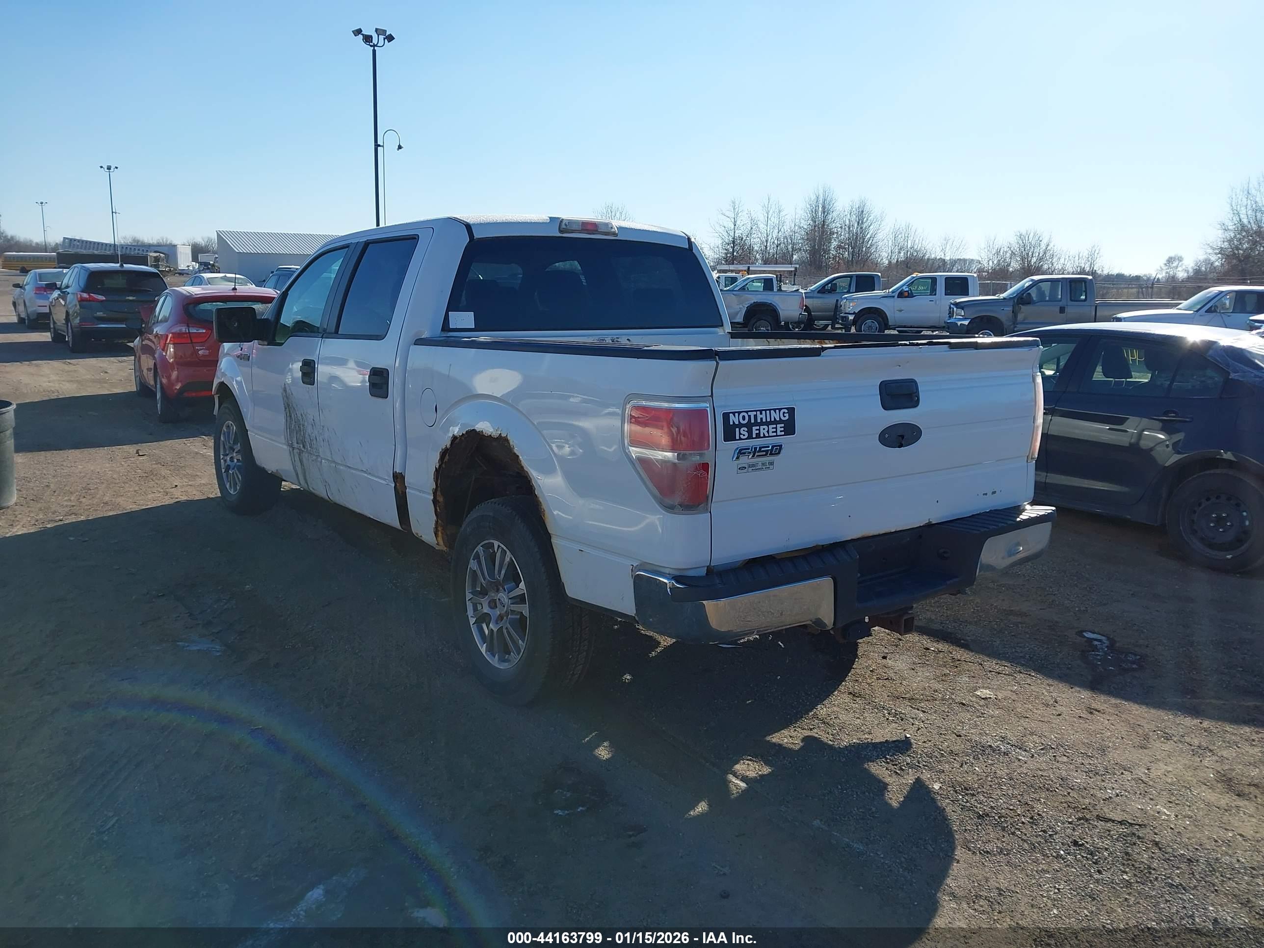 FORD F-150 image 3