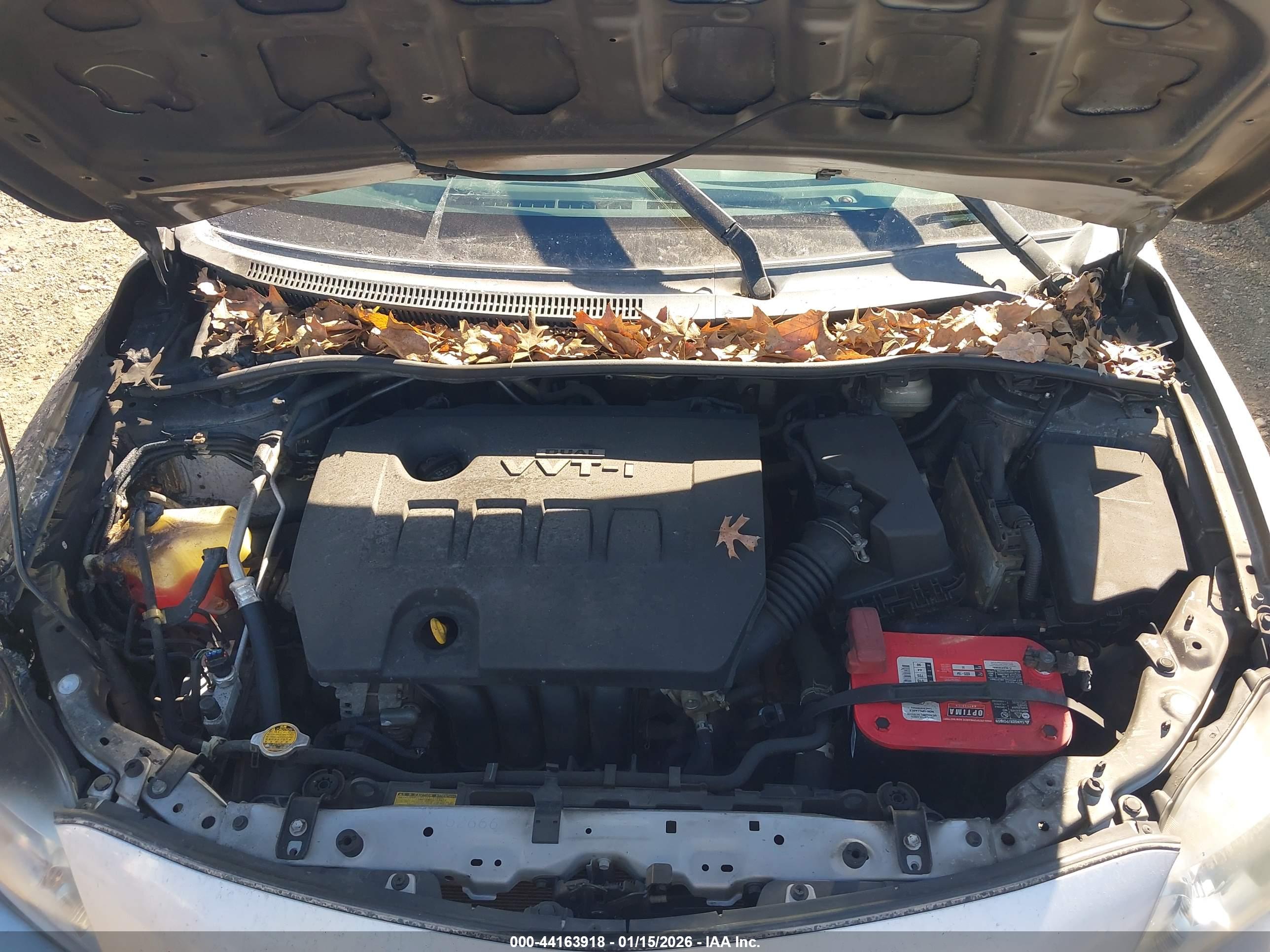 TOYOTA COROLLA image 10