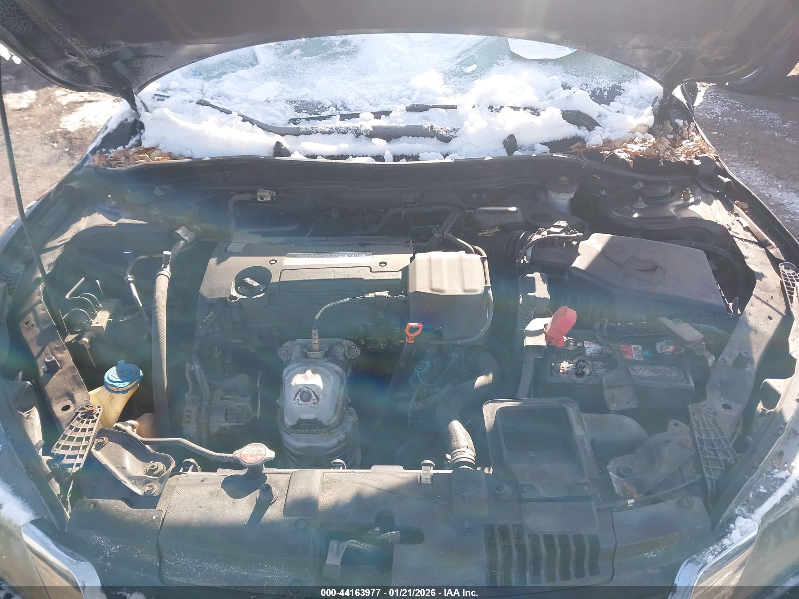 HONDA ACCORD image 10