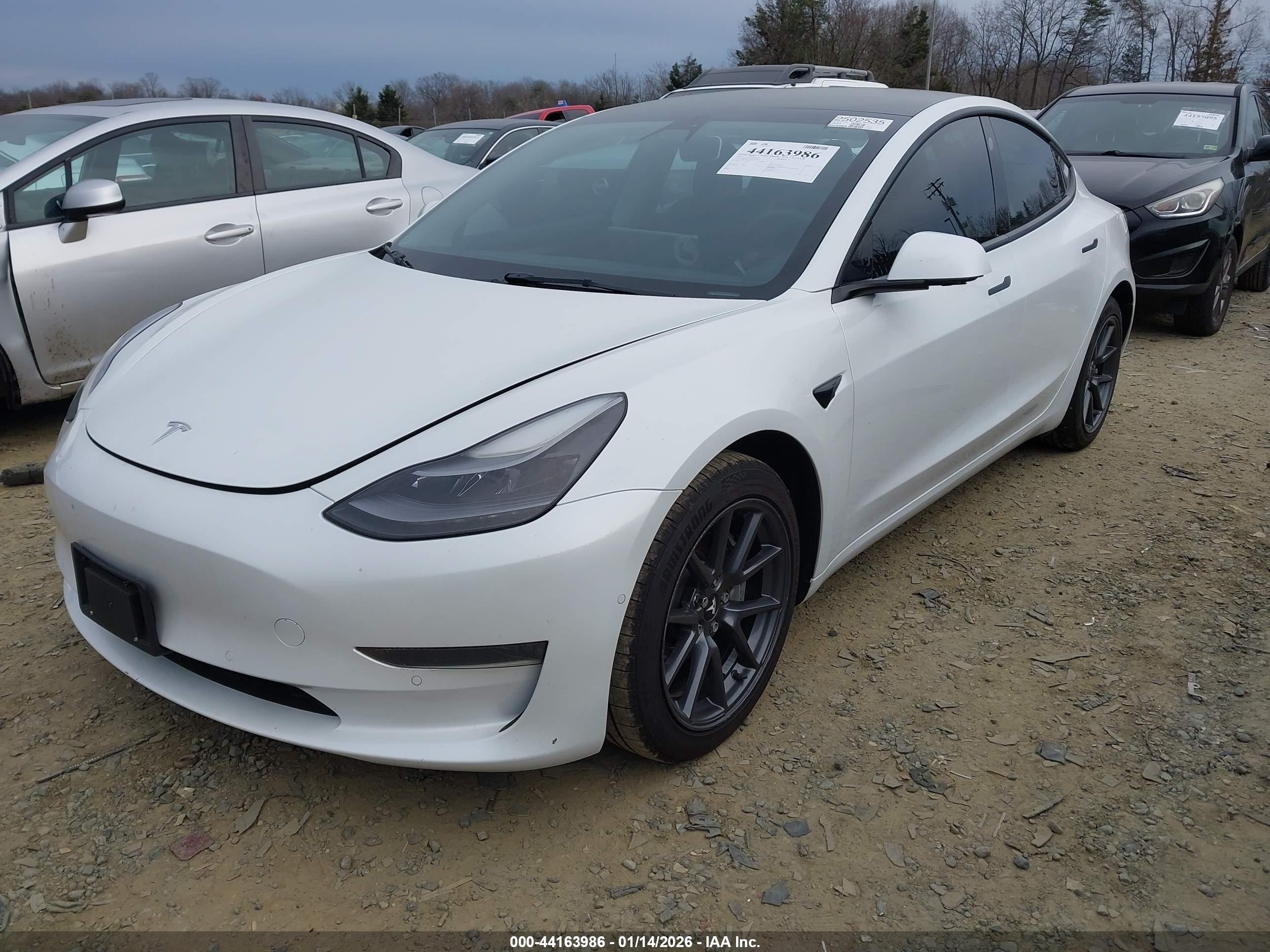 TESLA MODEL image 2