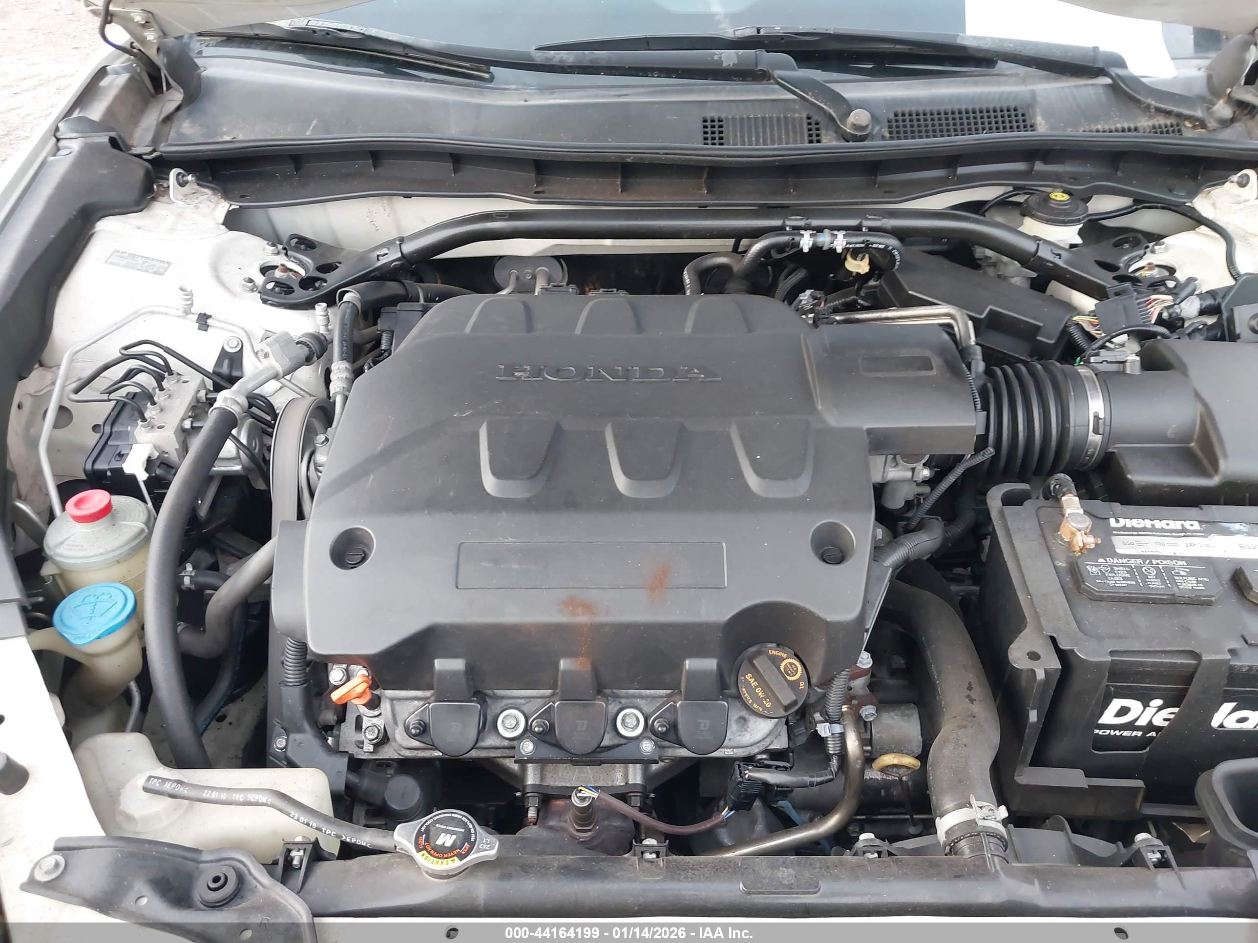 HONDA ACCORD image 10