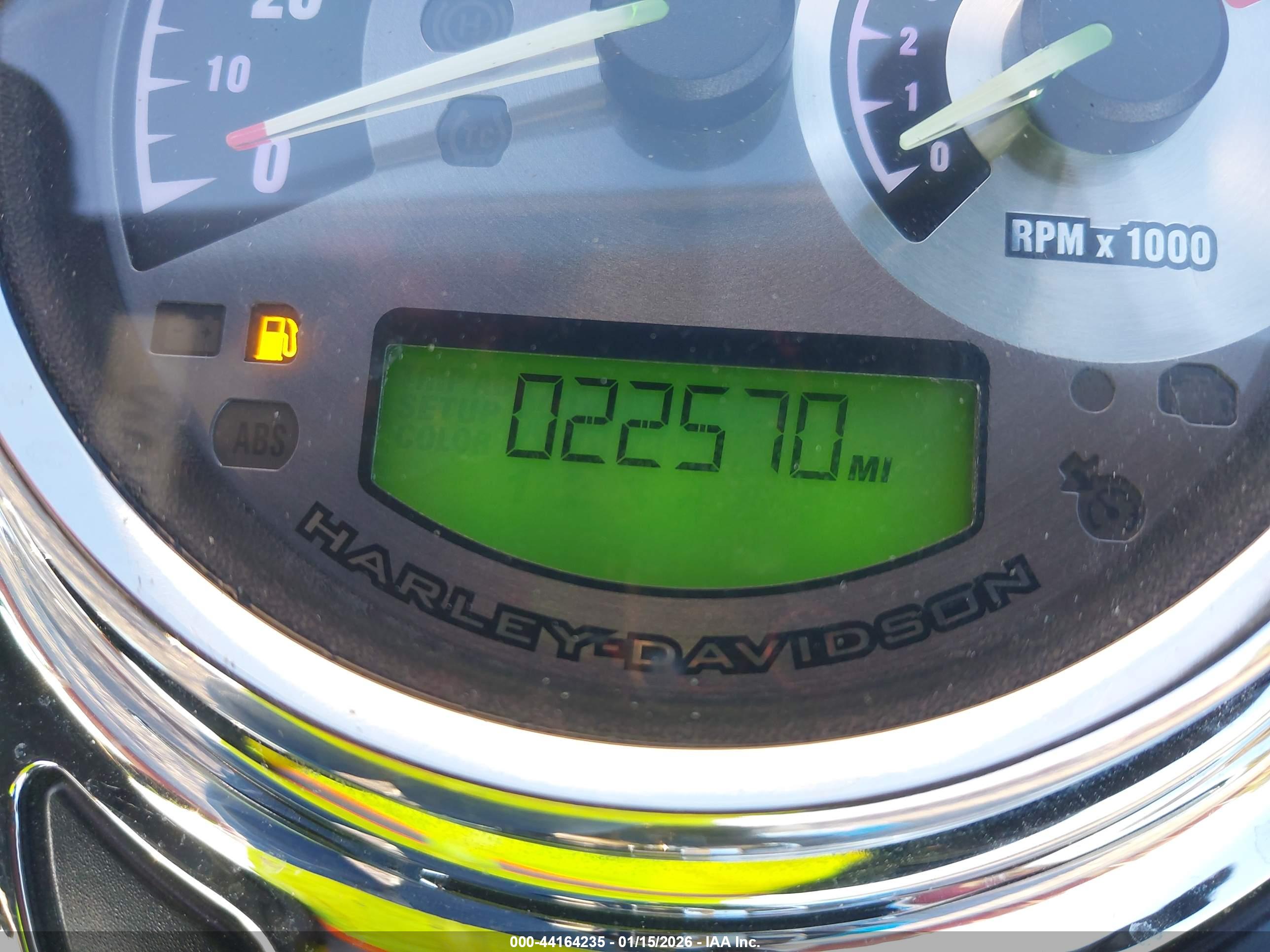 HARLEY-DAVIDSON FLSTC image 7
