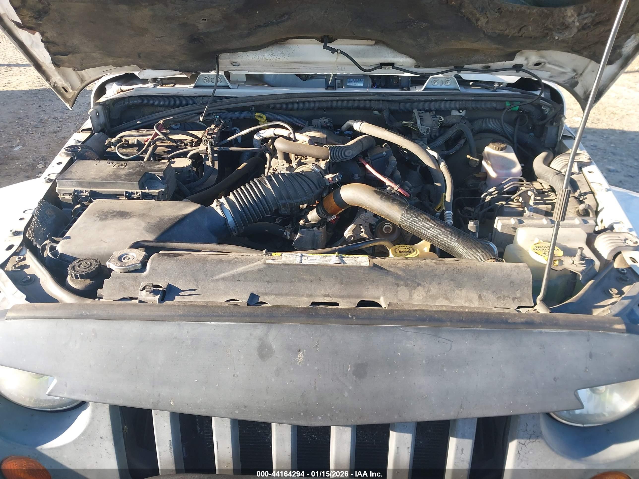 JEEP WRANGLER image 10