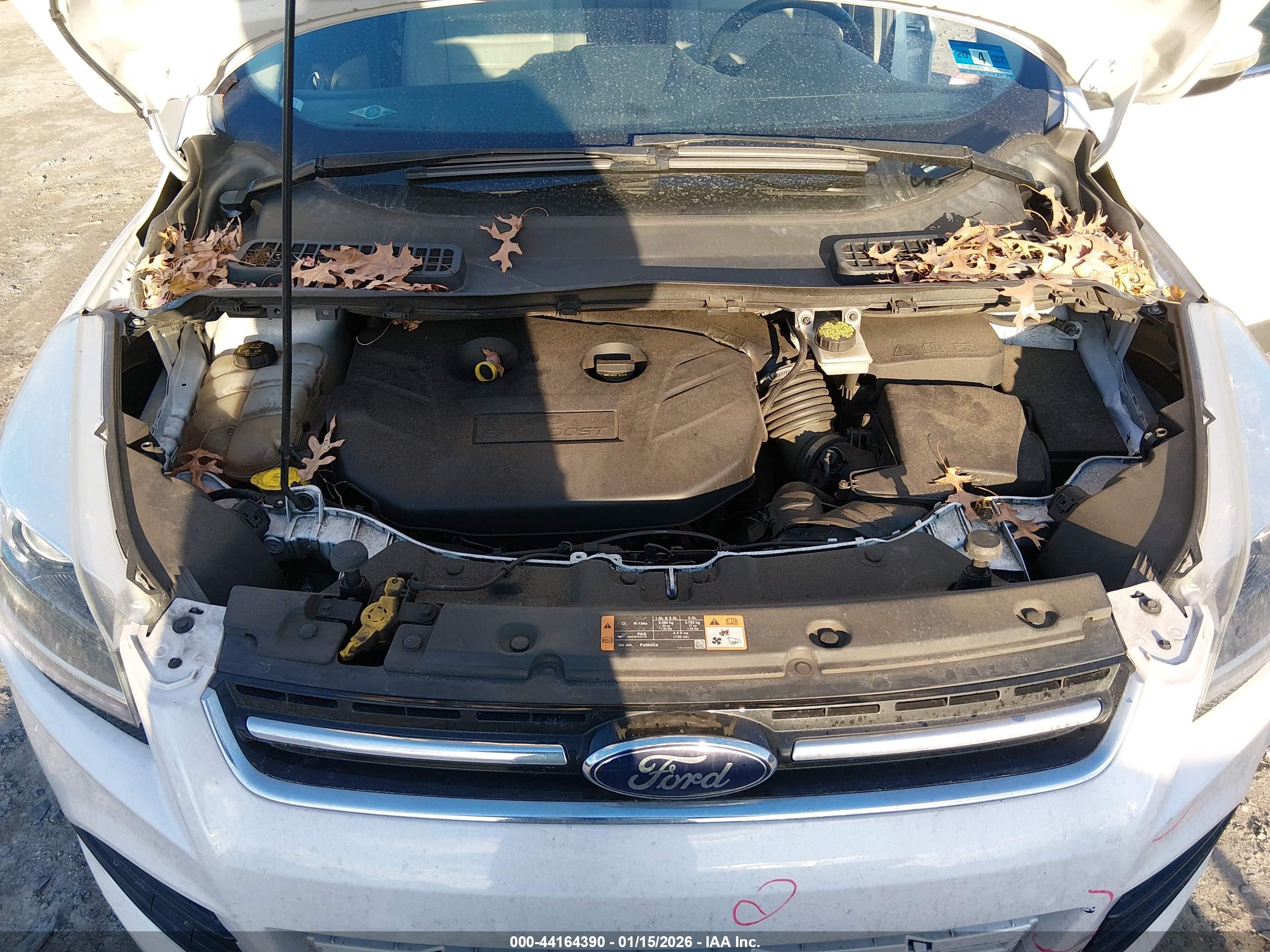 FORD ESCAPE image 10