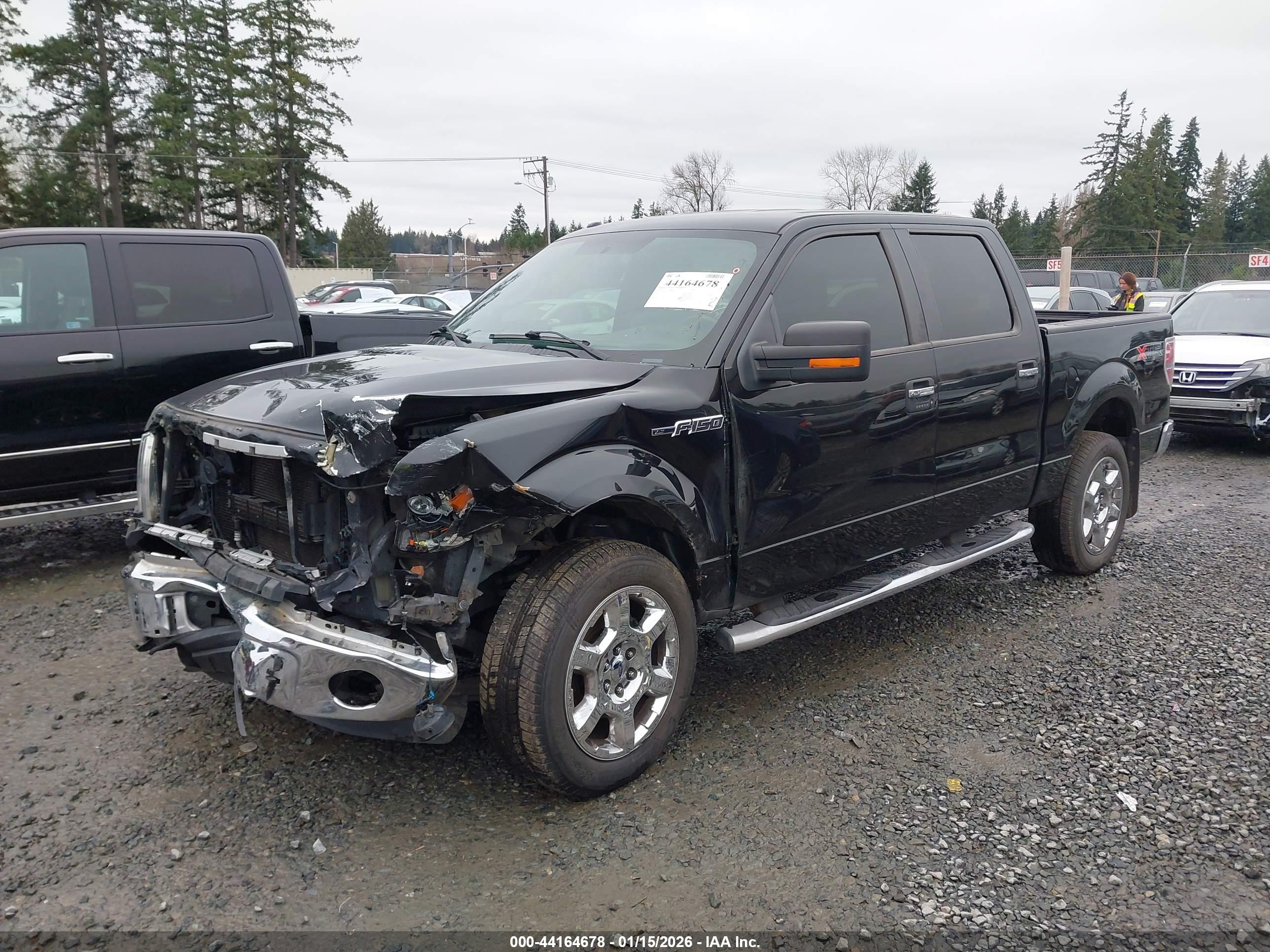 FORD F-150 image 2