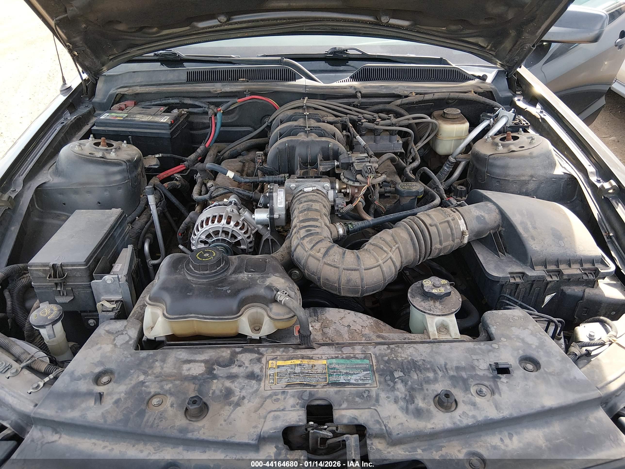 FORD MUSTANG image 10