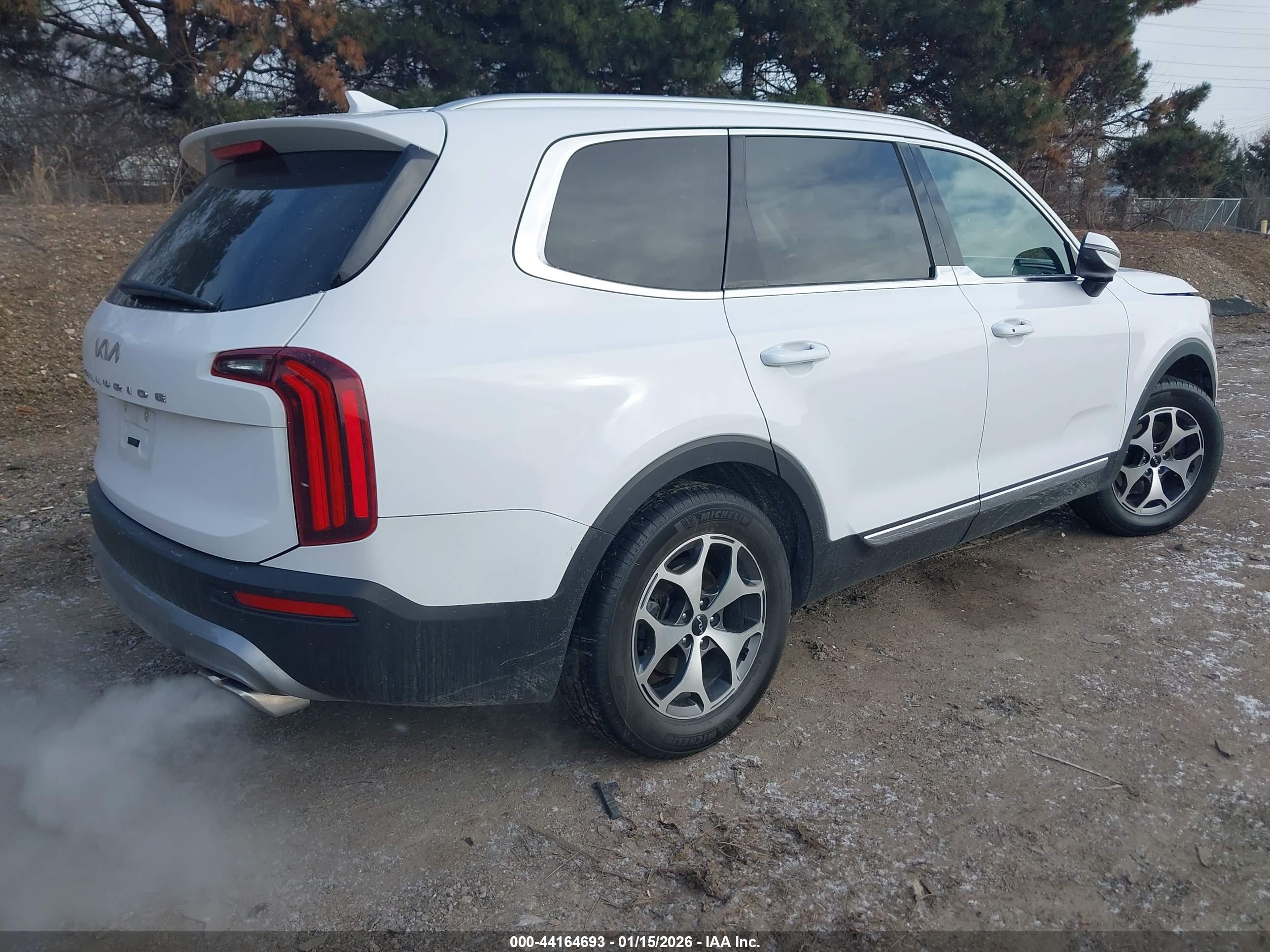 KIA TELLURIDE image 4