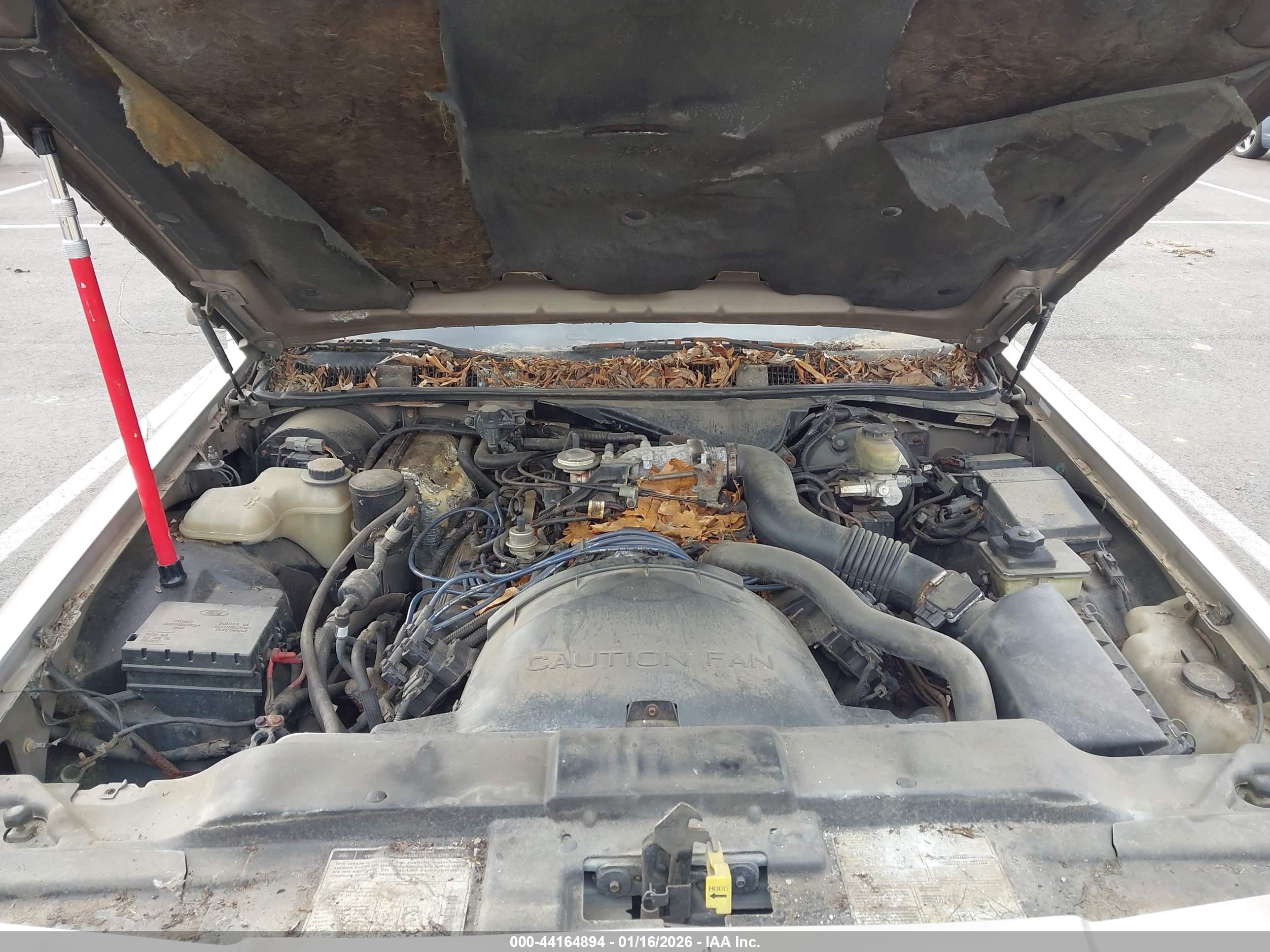 LINCOLN TOWN image 10