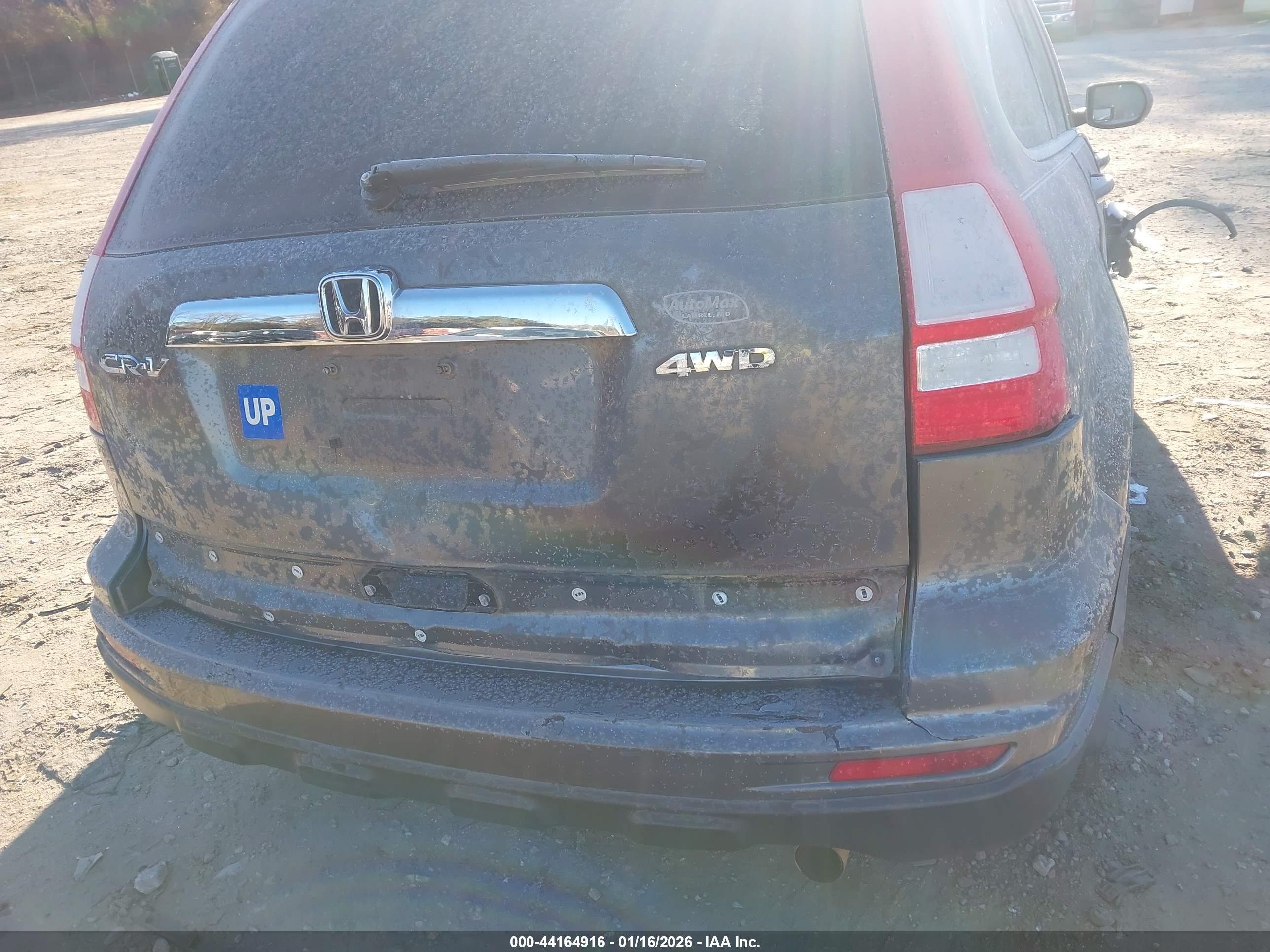 HONDA CR-V image 6