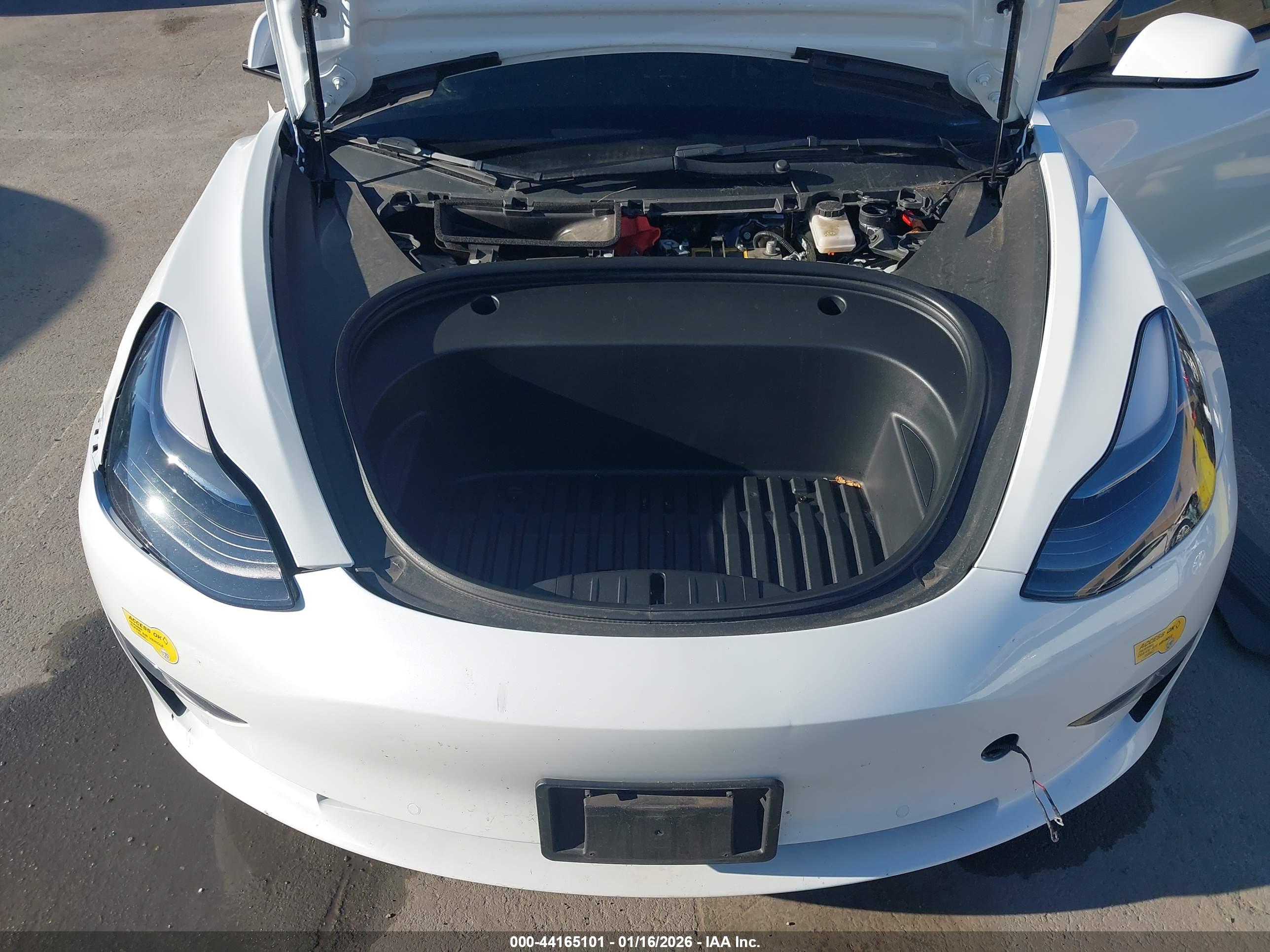 TESLA MODEL image 10