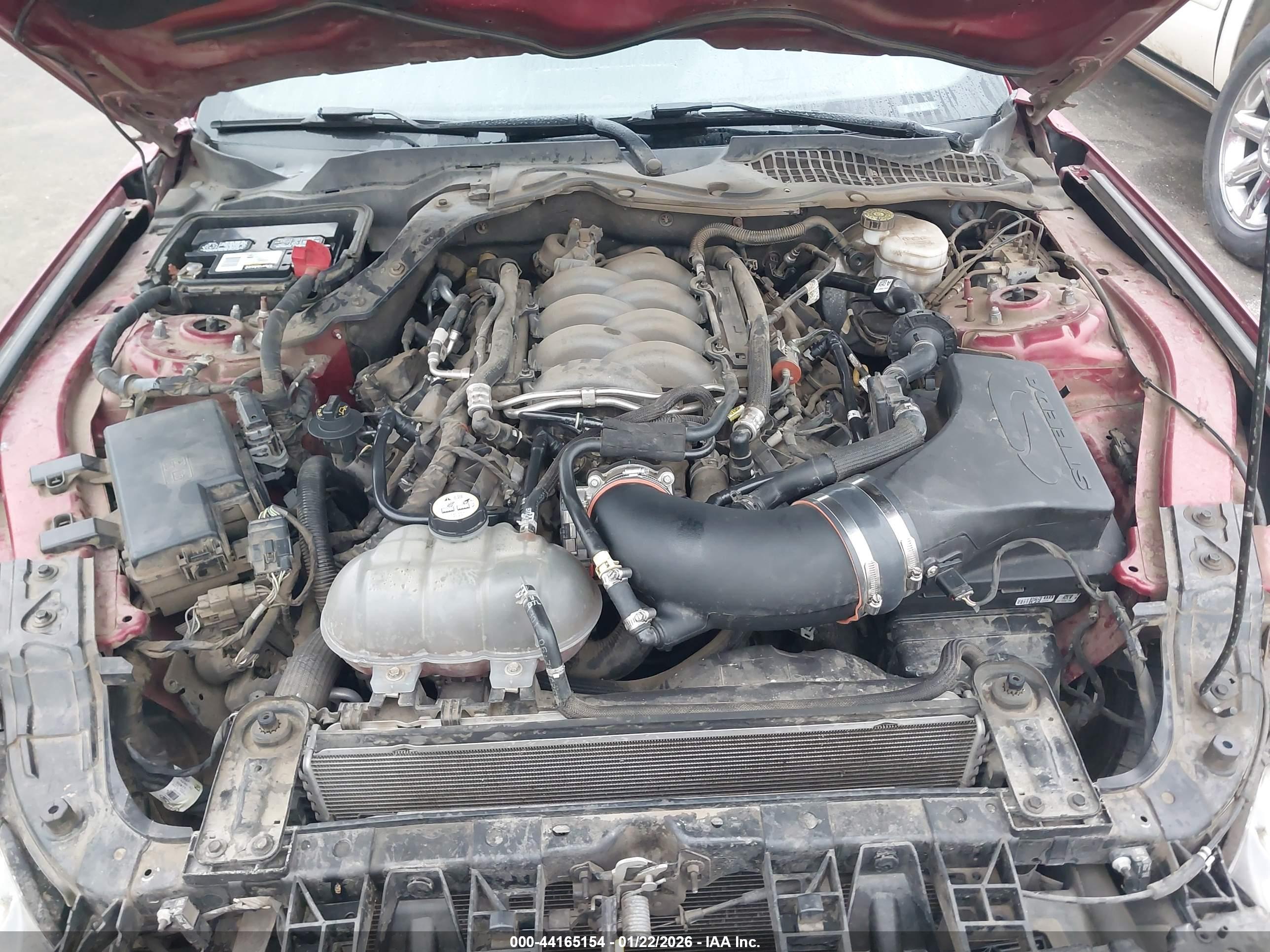FORD MUSTANG image 10