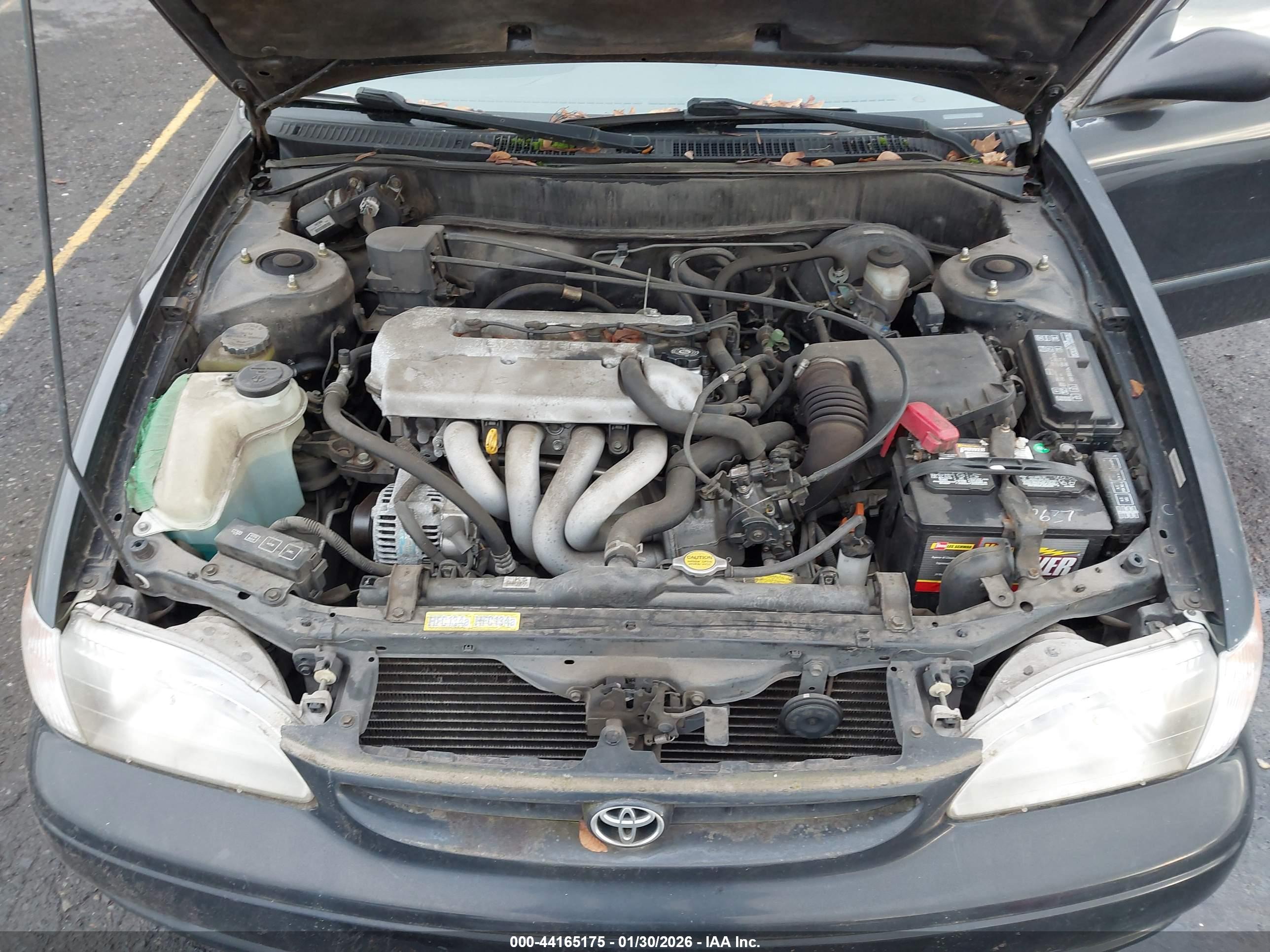 TOYOTA COROLLA image 10