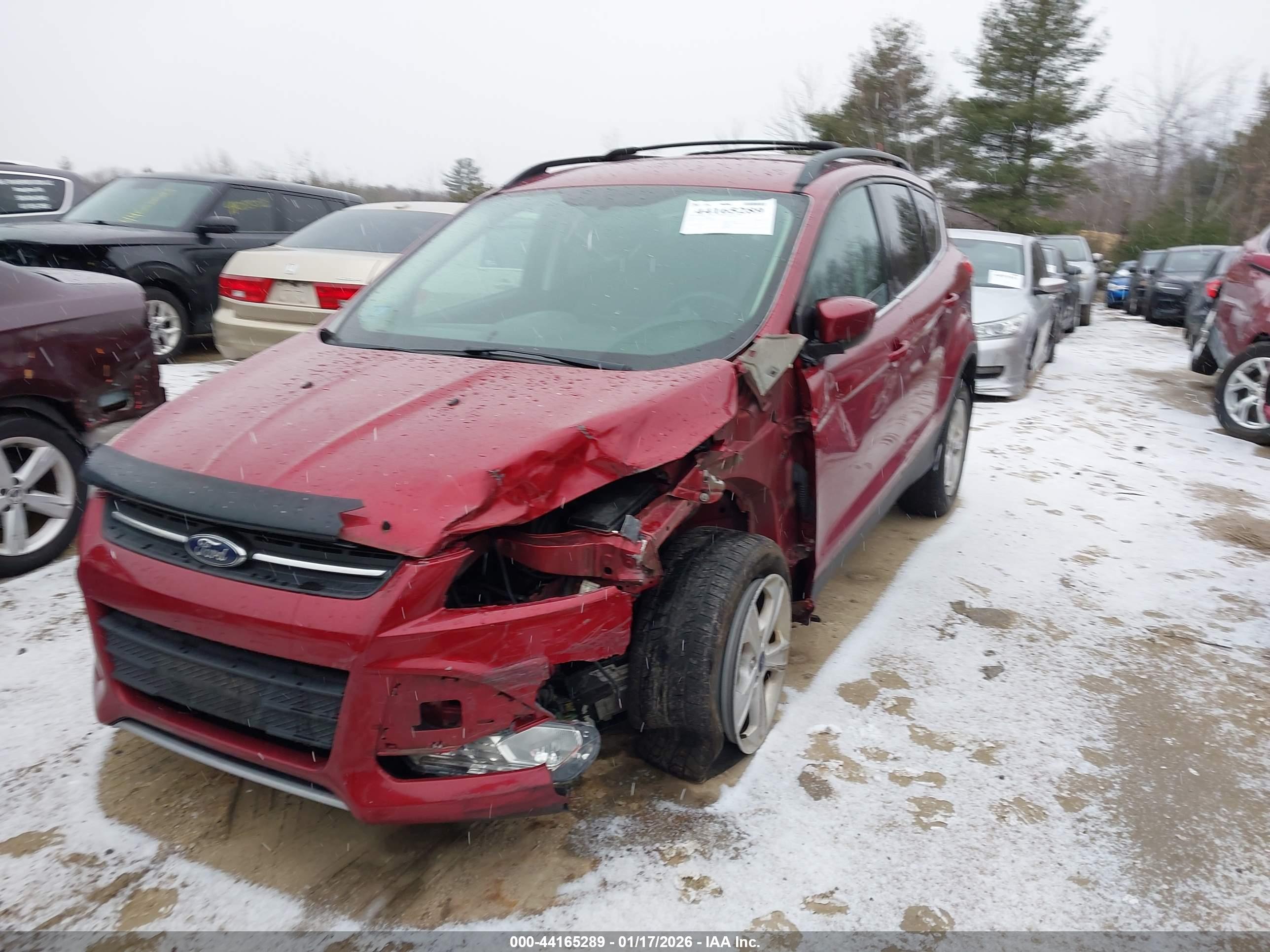 FORD ESCAPE image 2