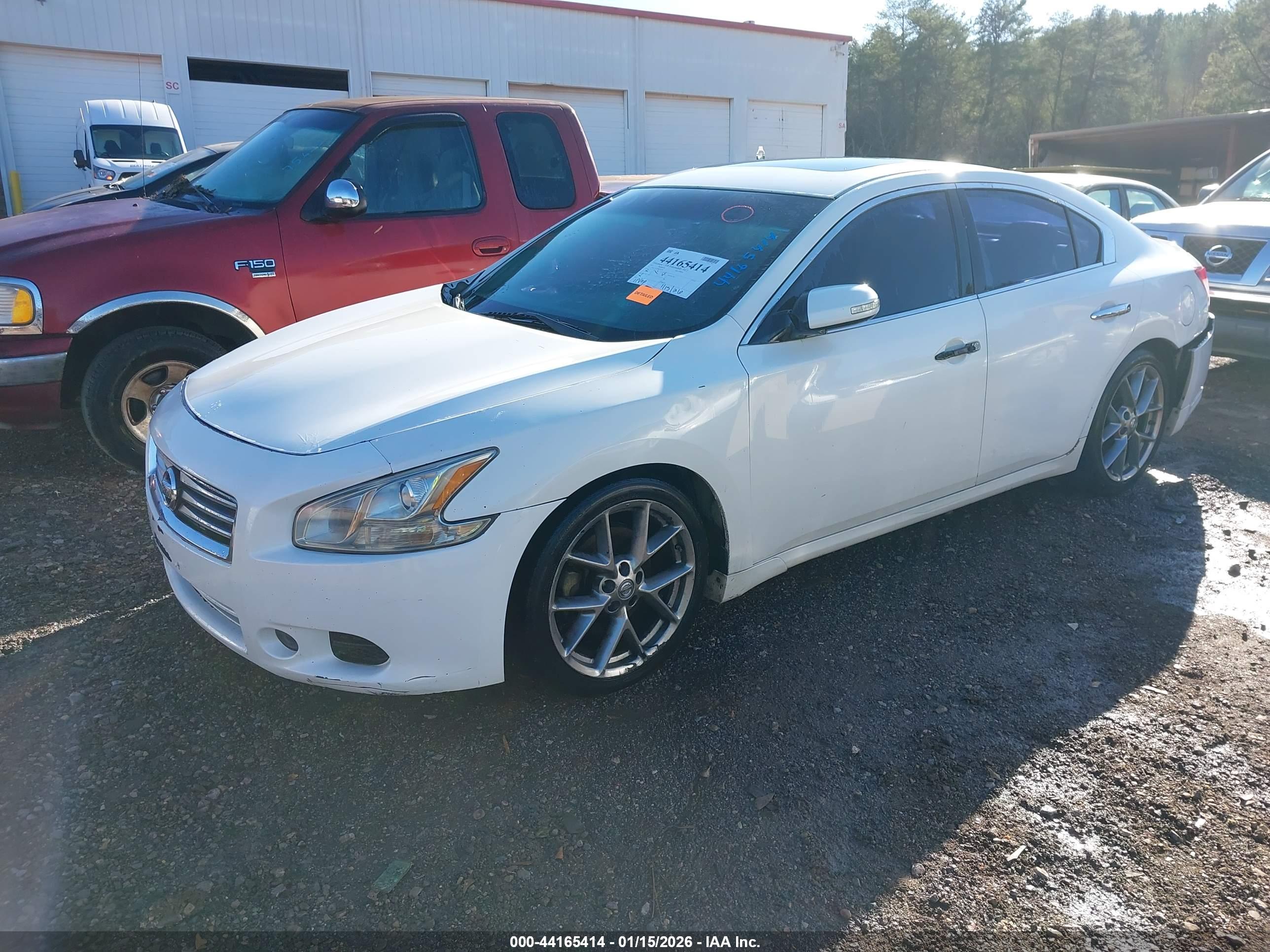 NISSAN MAXIMA image 2