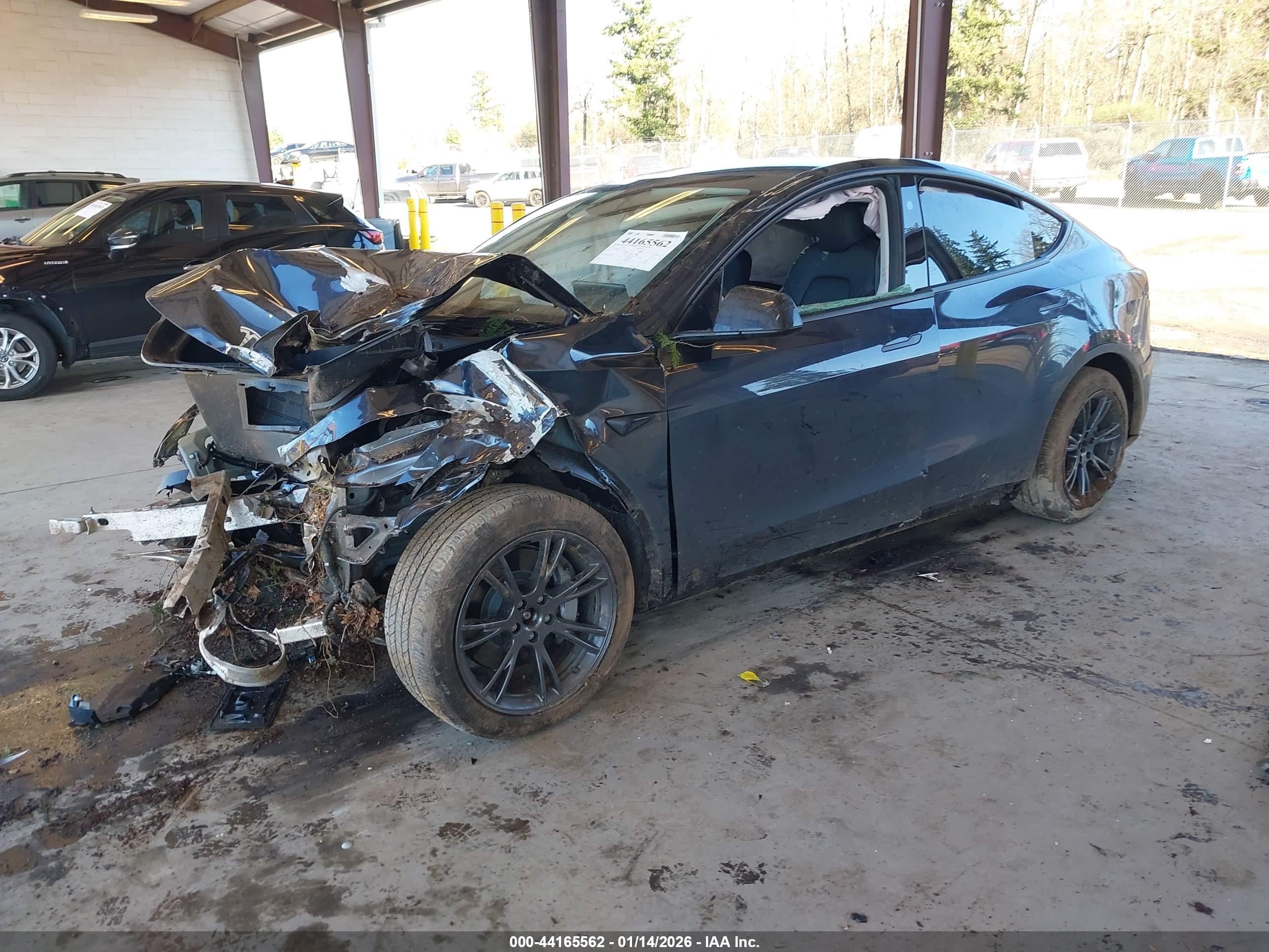 TESLA MODEL image 2