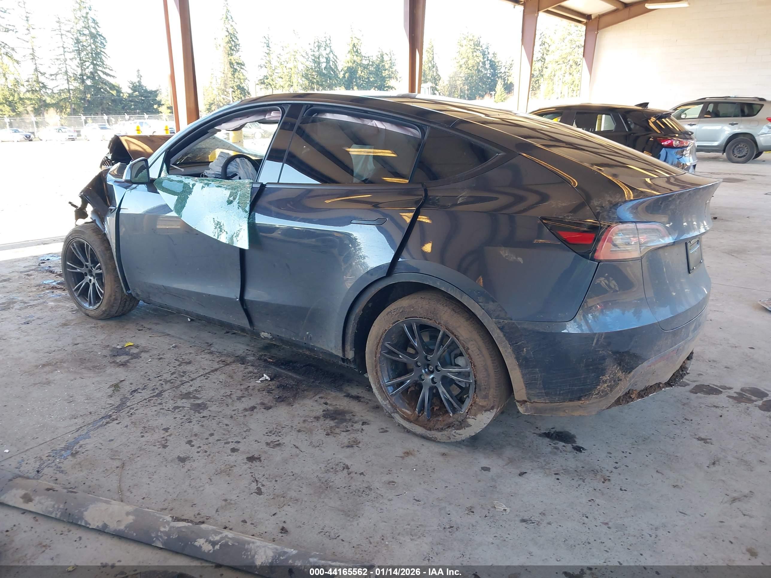 TESLA MODEL image 3
