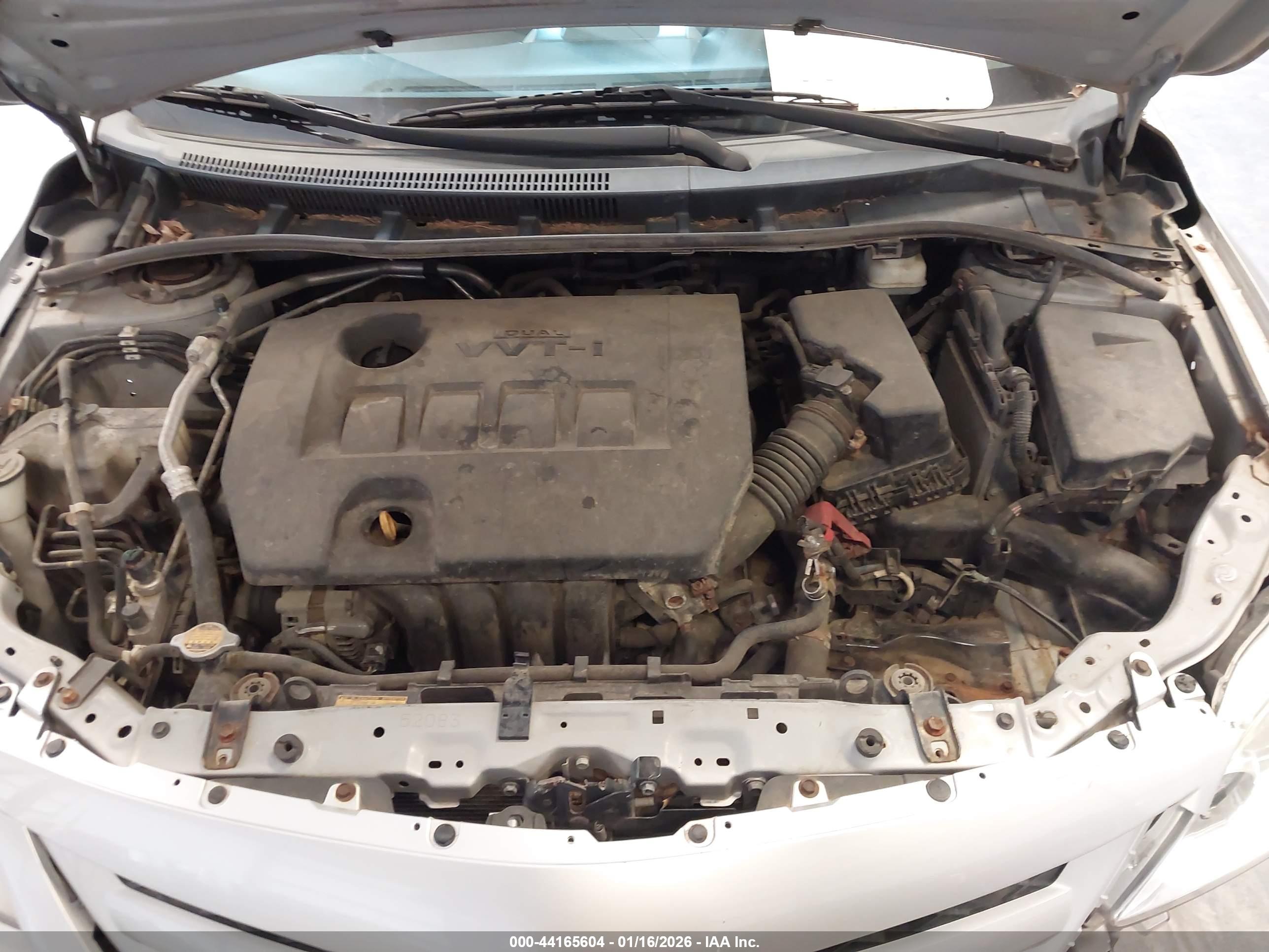 TOYOTA COROLLA image 10