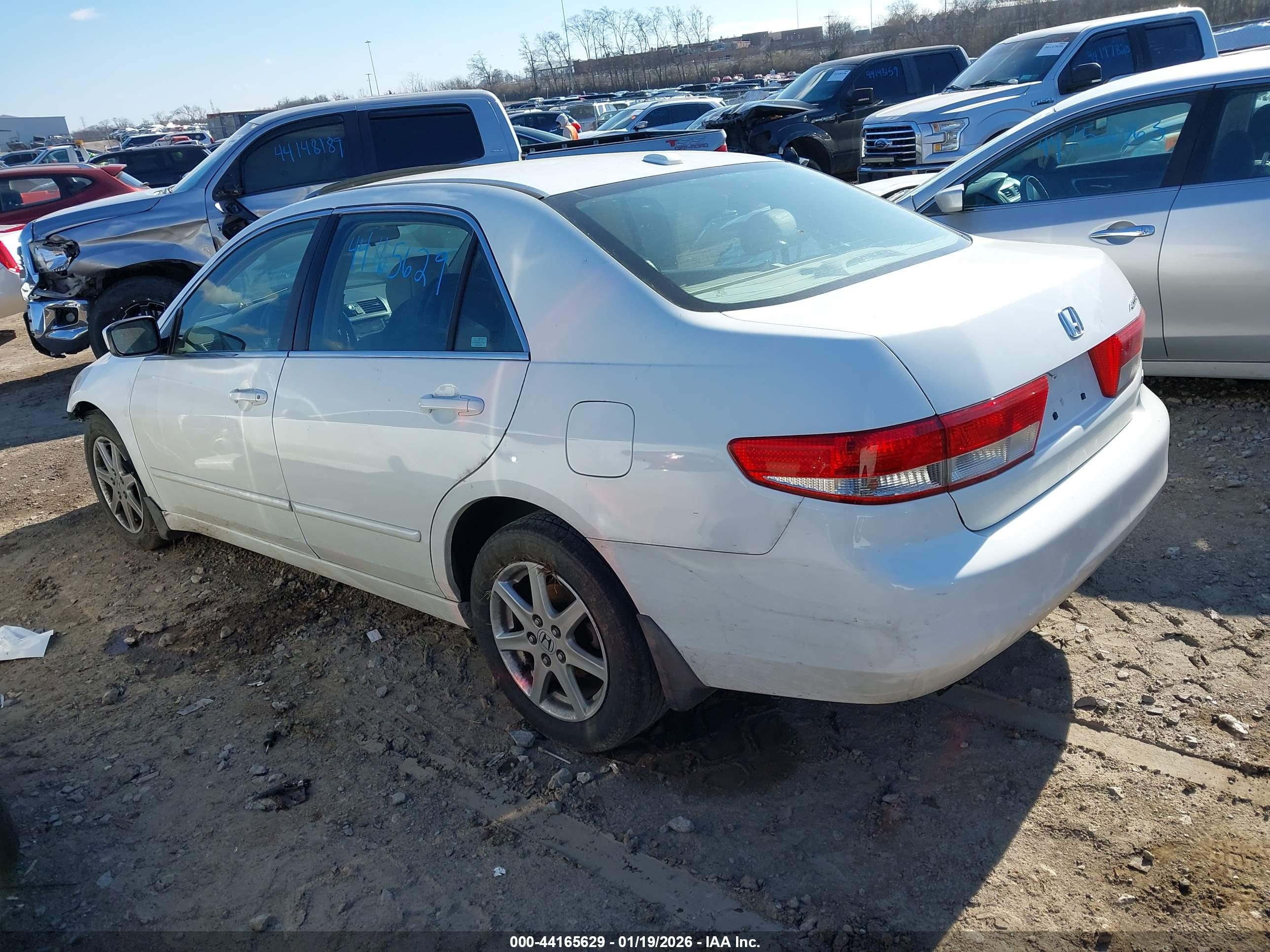 HONDA ACCORD image 3