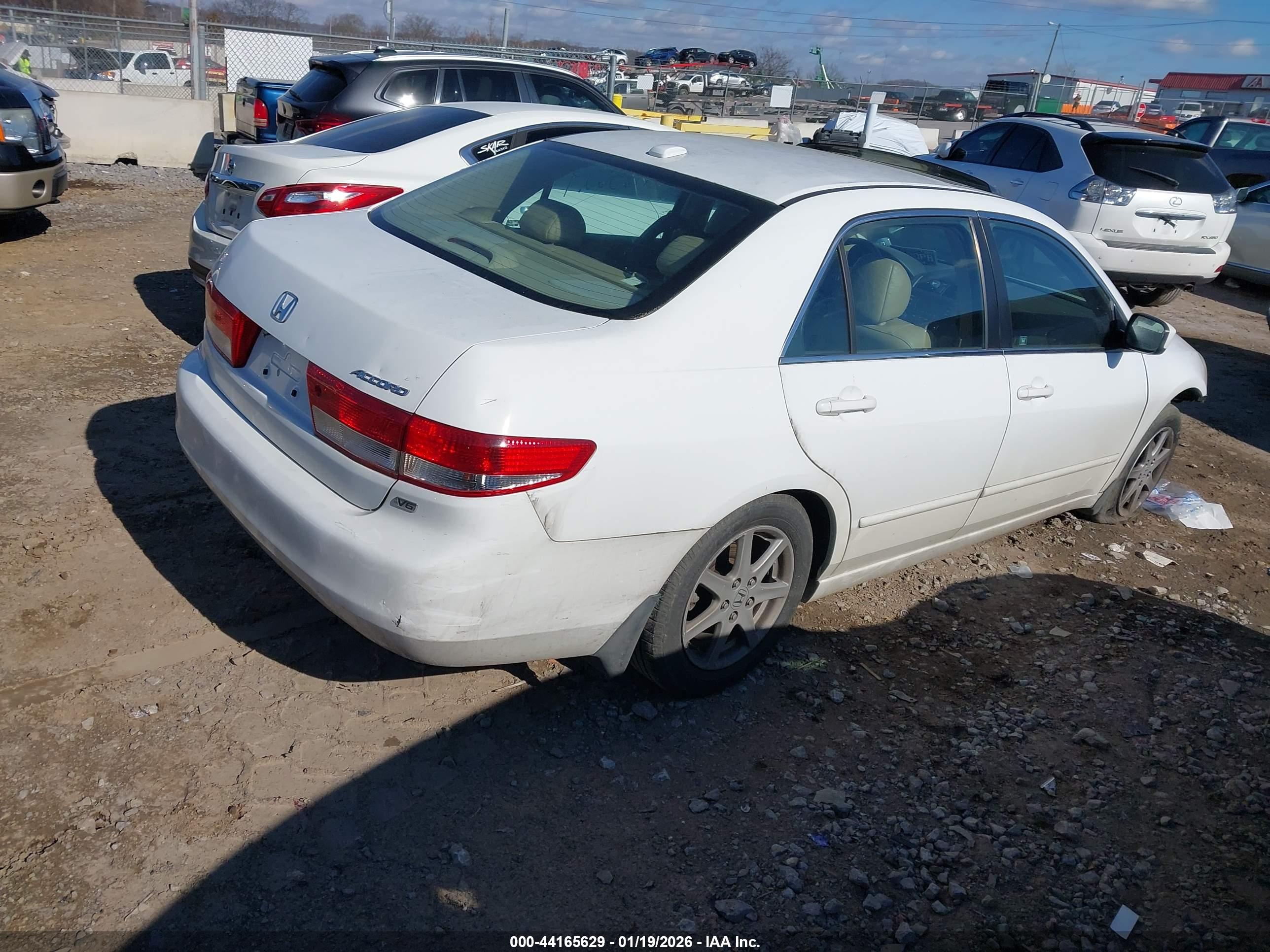 HONDA ACCORD image 4