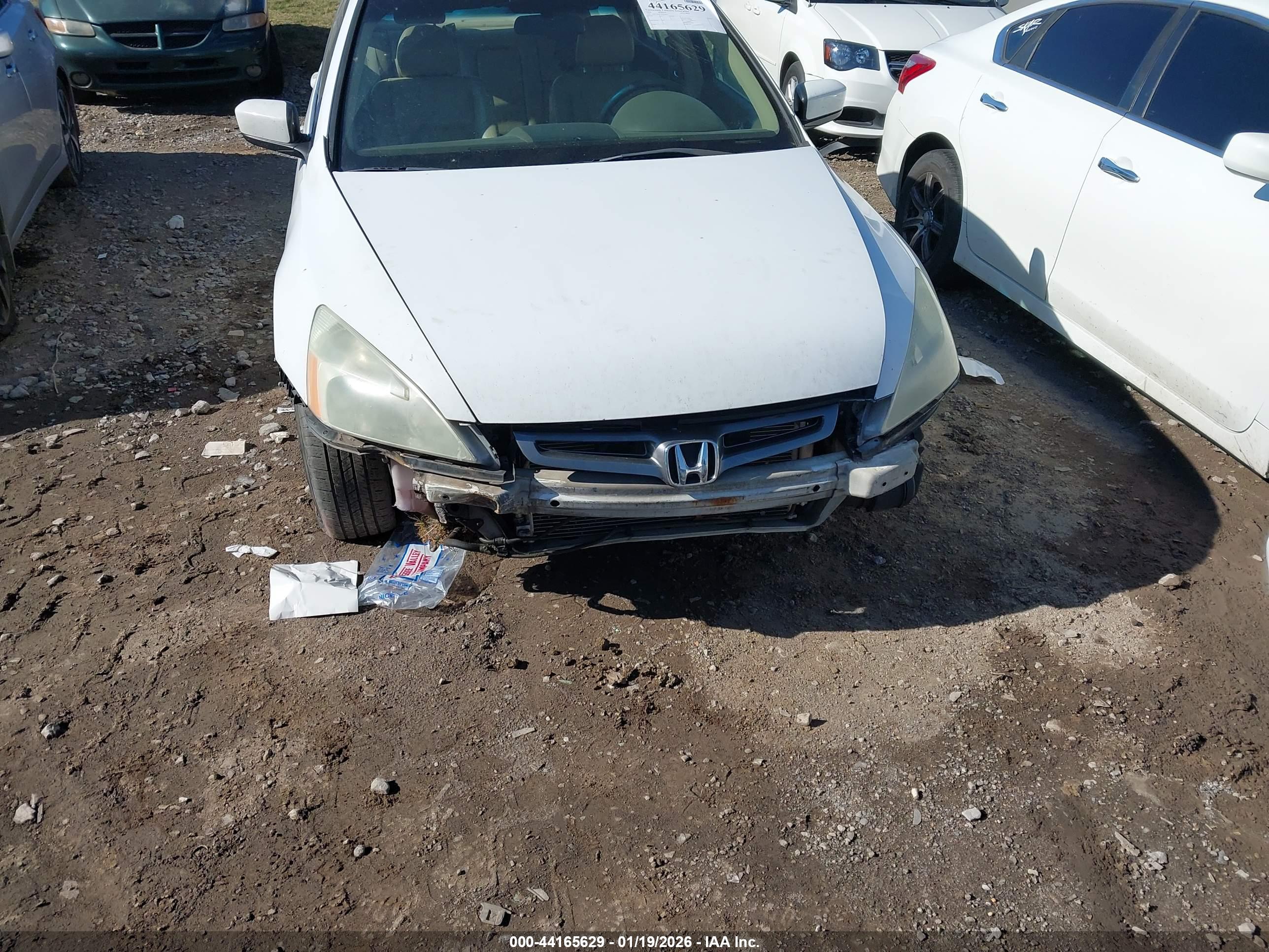 HONDA ACCORD image 6