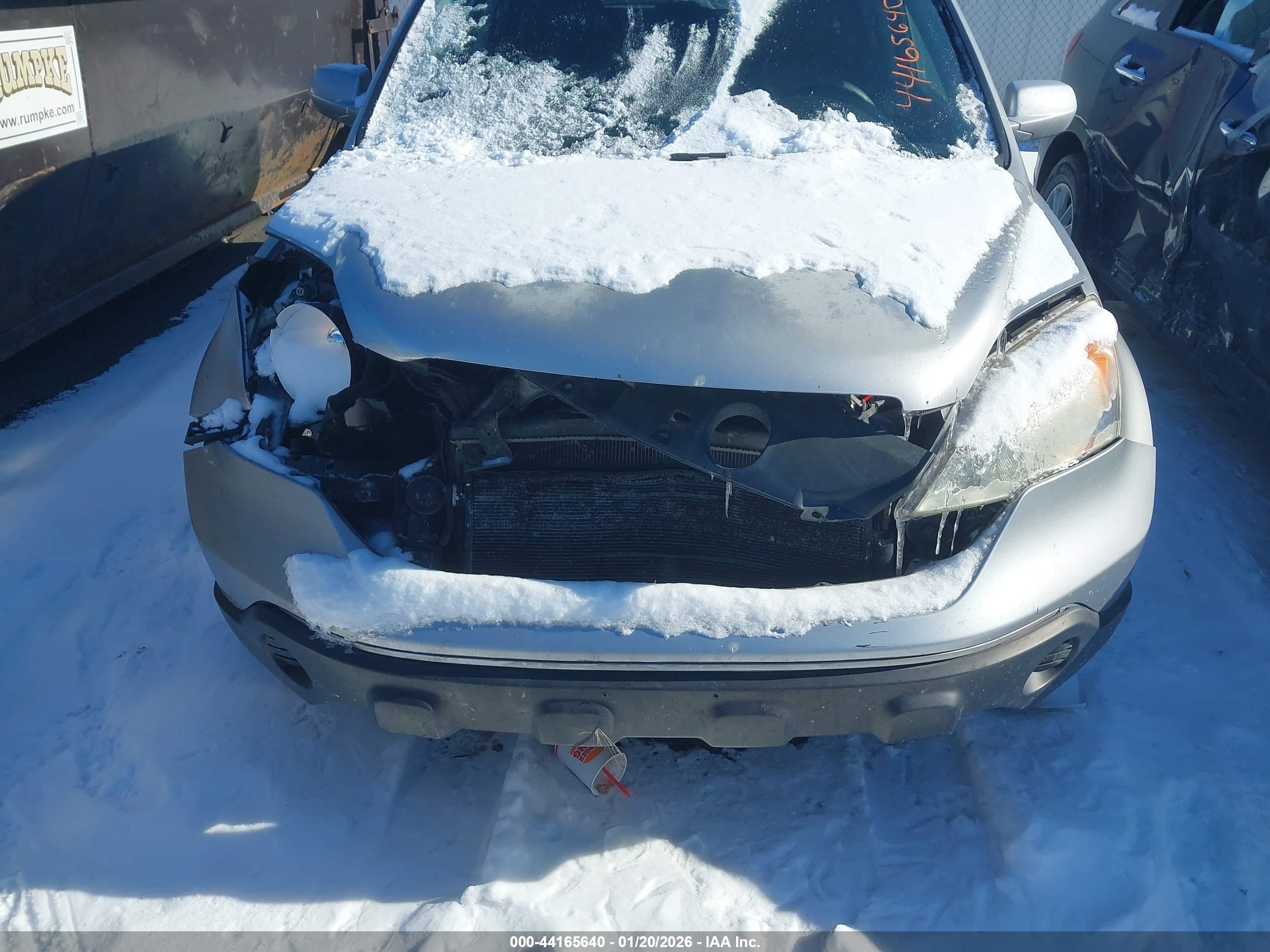 HONDA CR-V image 6