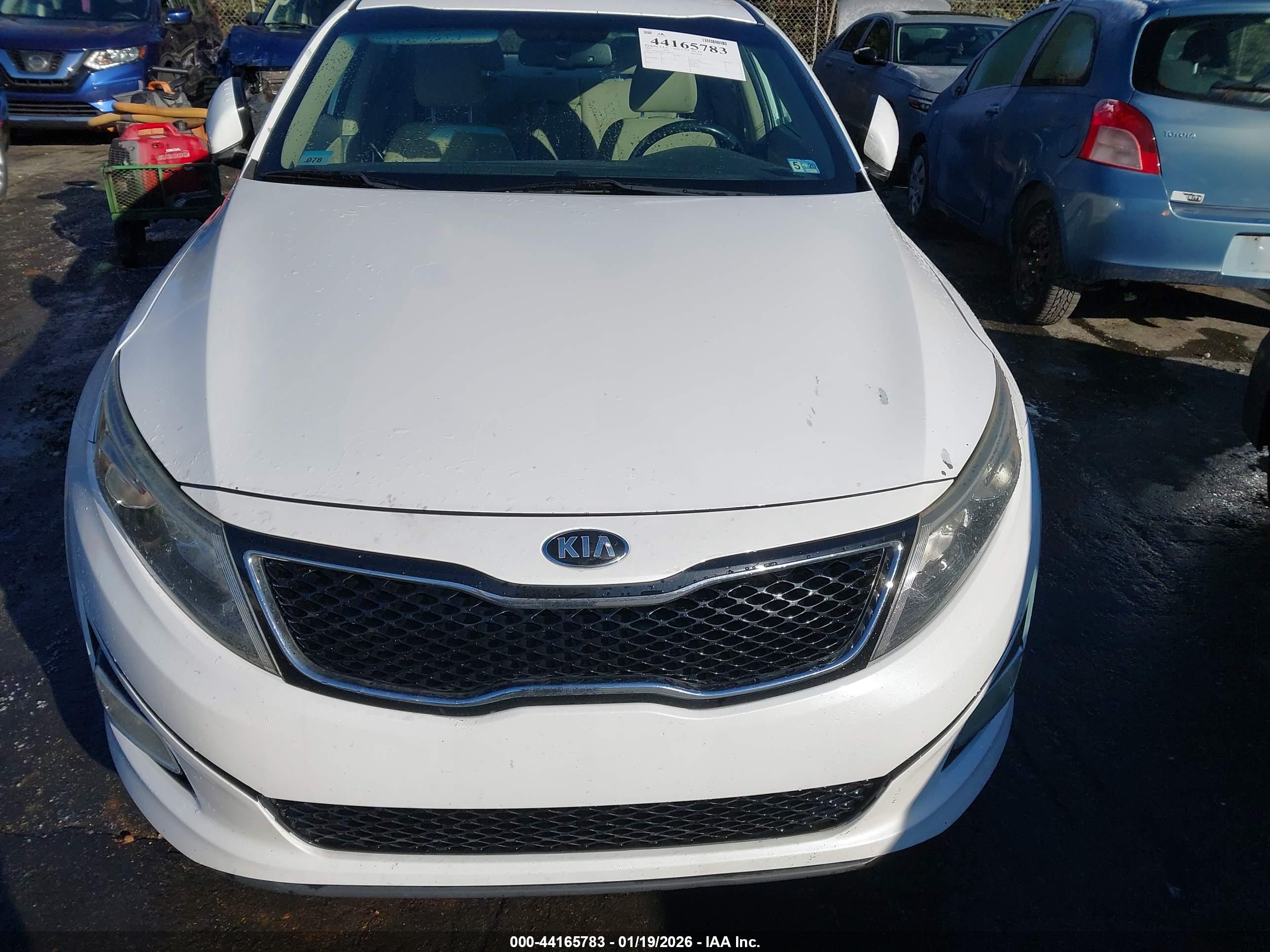 KIA OPTIMA image 6