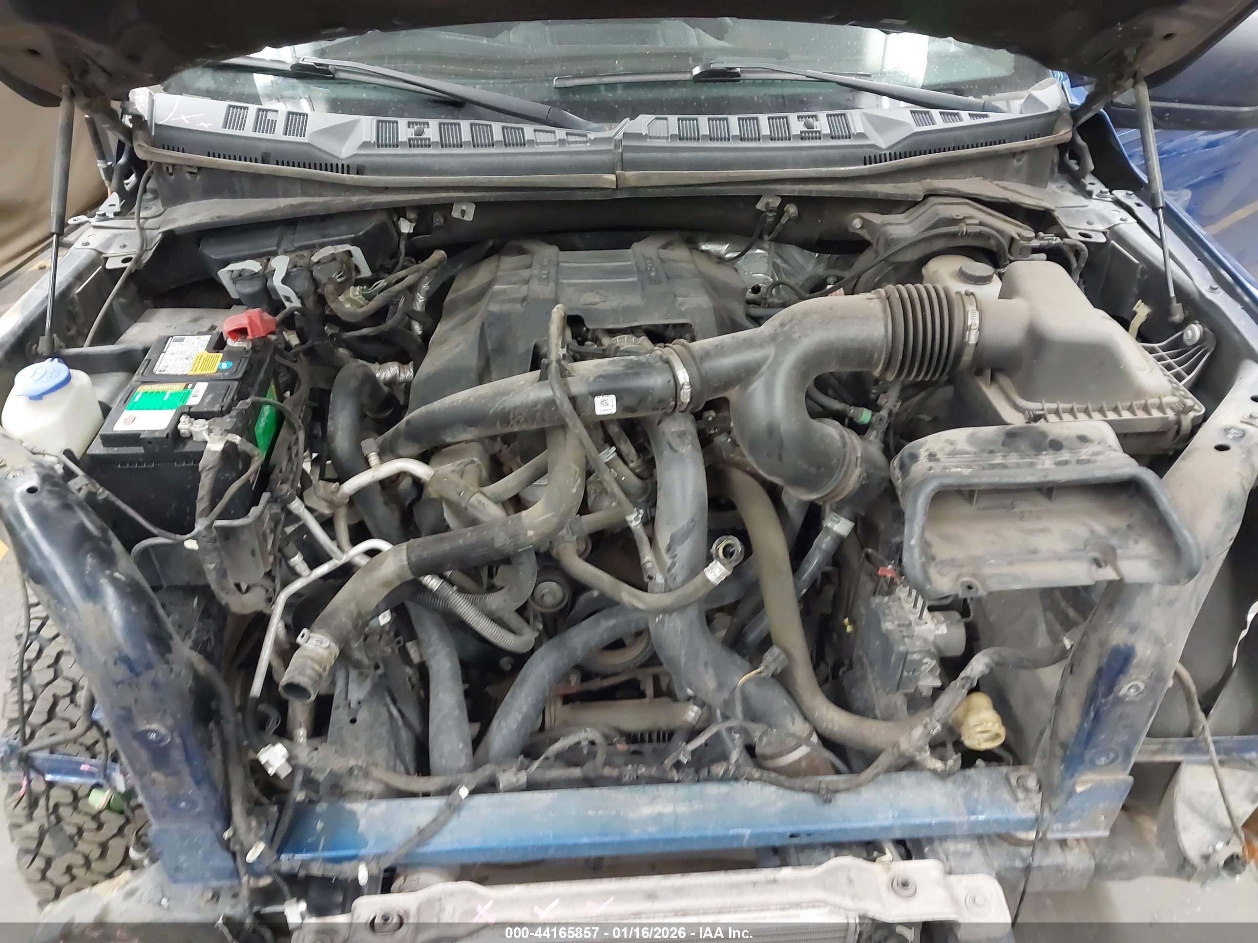 FORD F-150 image 10